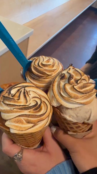 Wild Scoops - three girls who wanted icecream cones with a baked alaska top - Desserts Near Me - Anchorage, Alaska