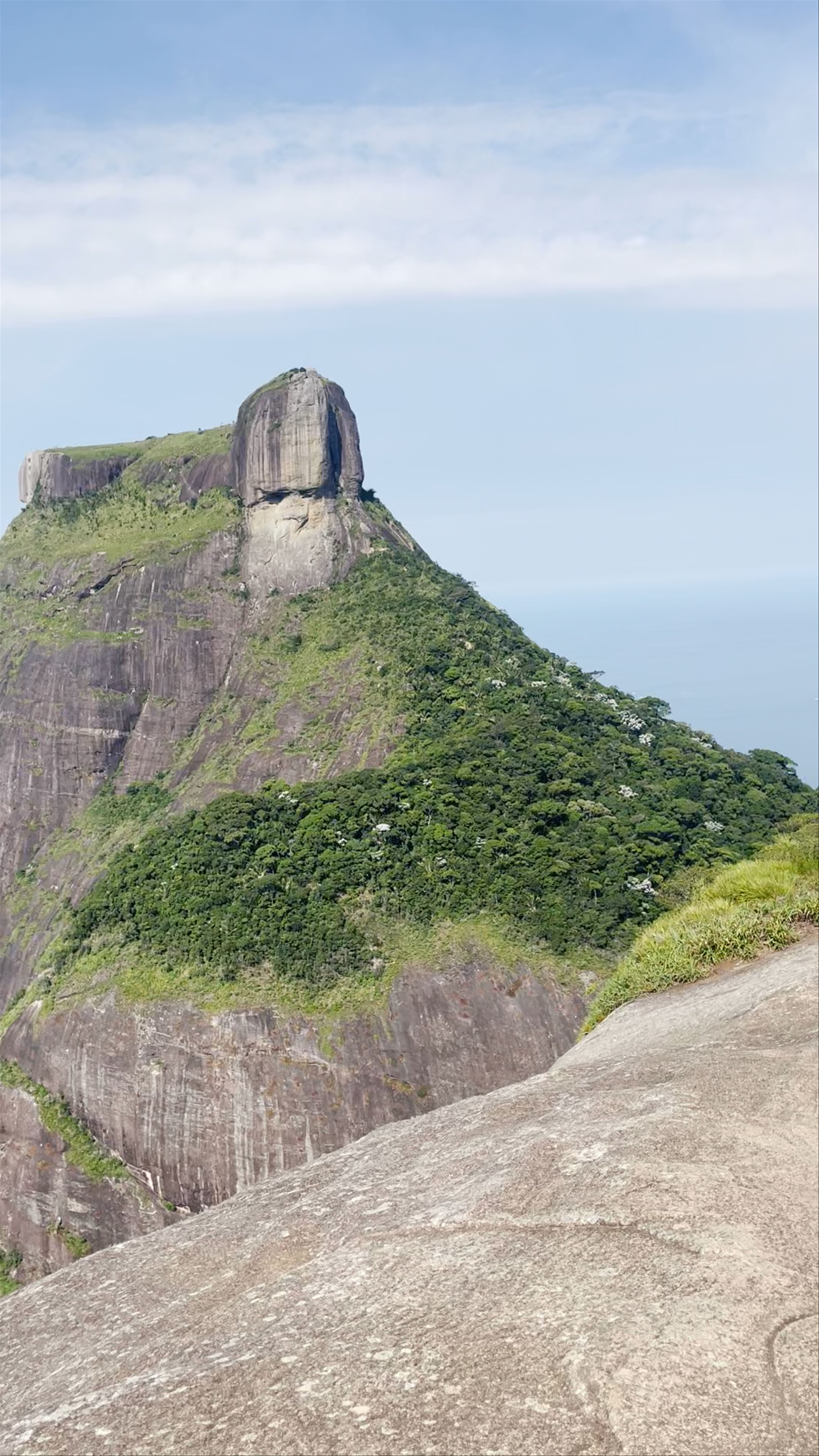 Tijuca National Park - Estrada da Cascatinha - Alto da Boa Vista