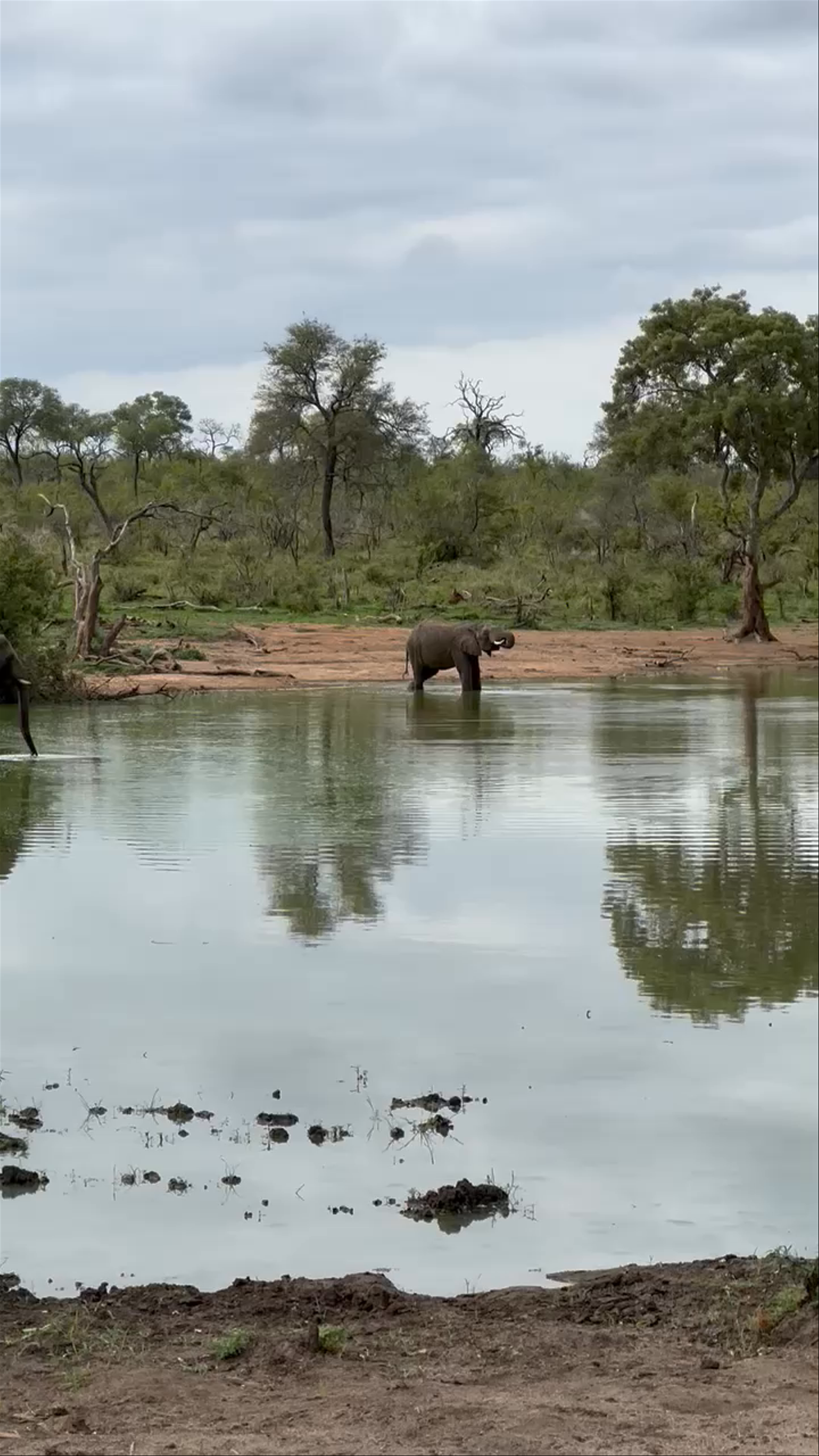 Kruger National Park