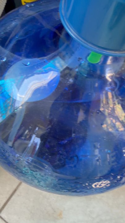 Primo Water - Some floating in a new bootle - Water Stores Near Me - Placerville, California