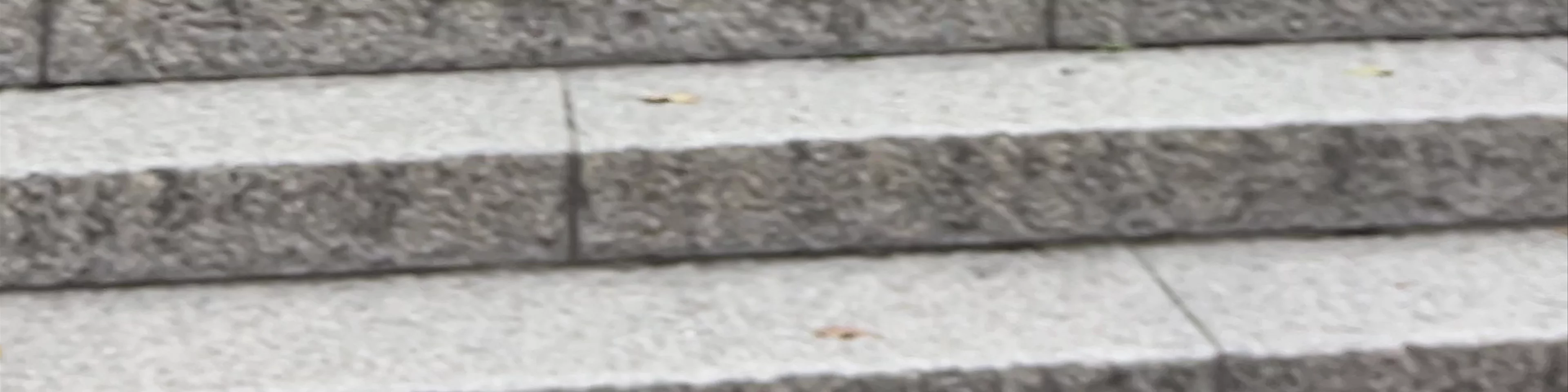 Komagitsune