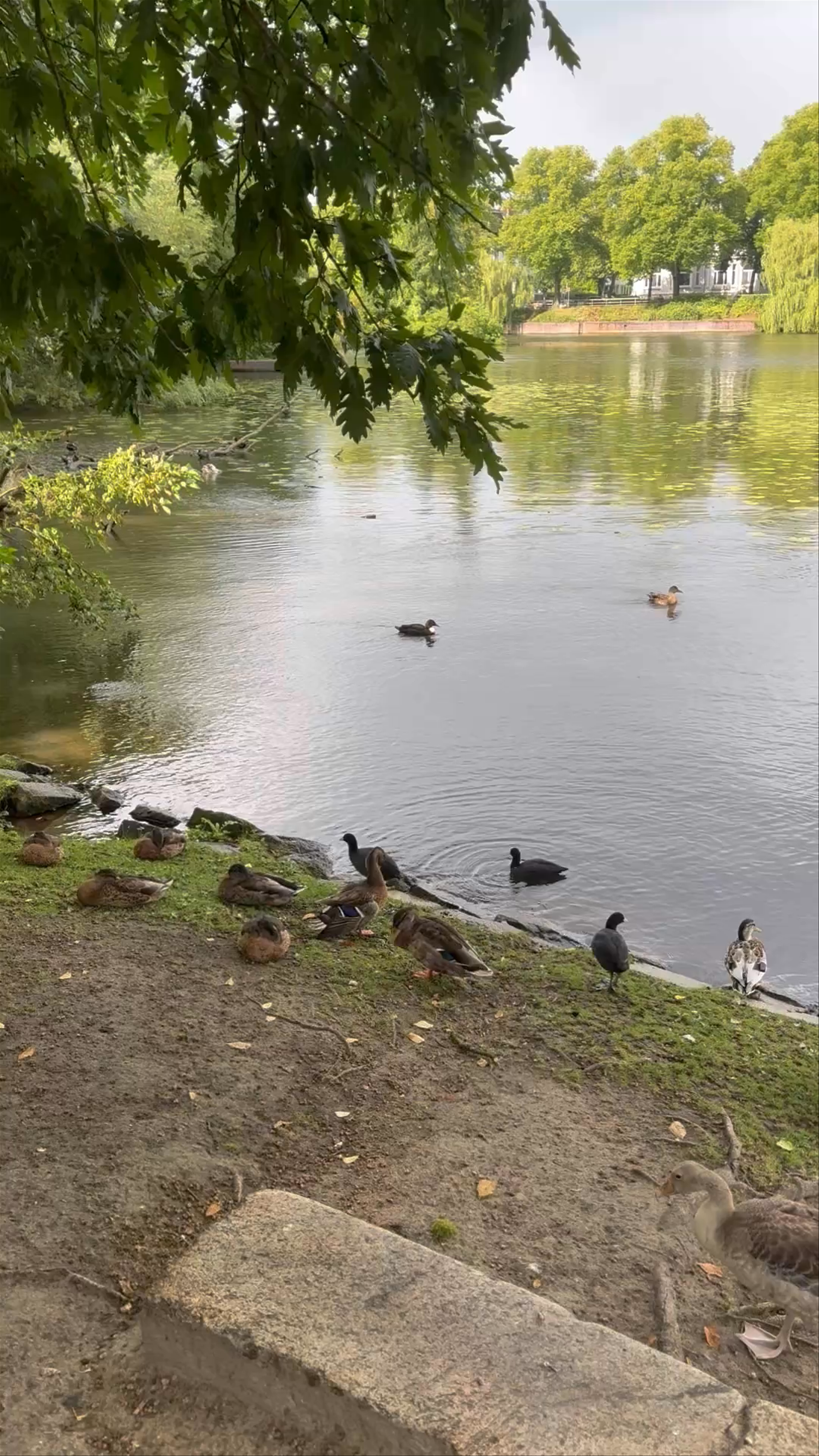 Eichenpark