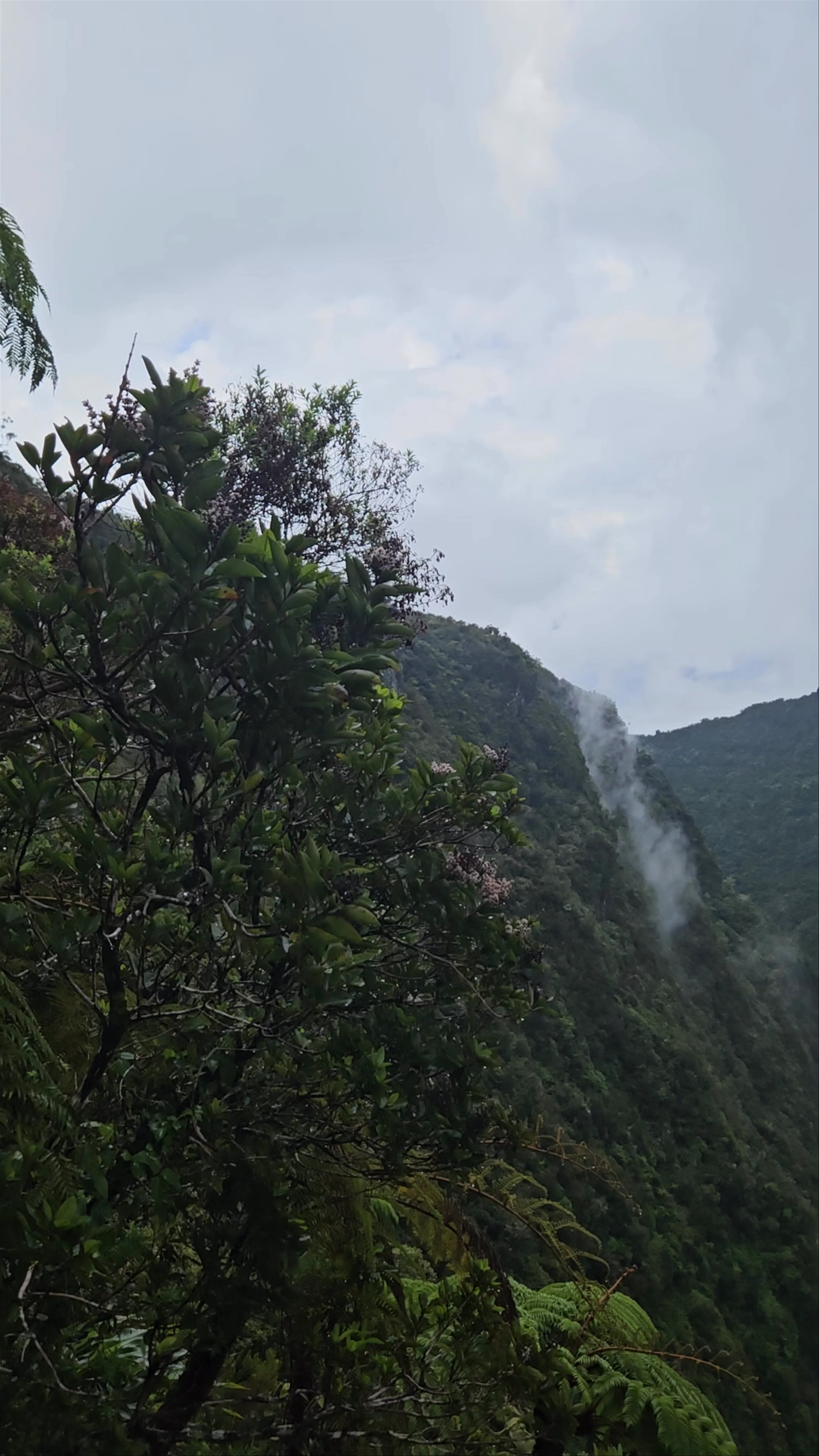 Trou de Fer, Salazie