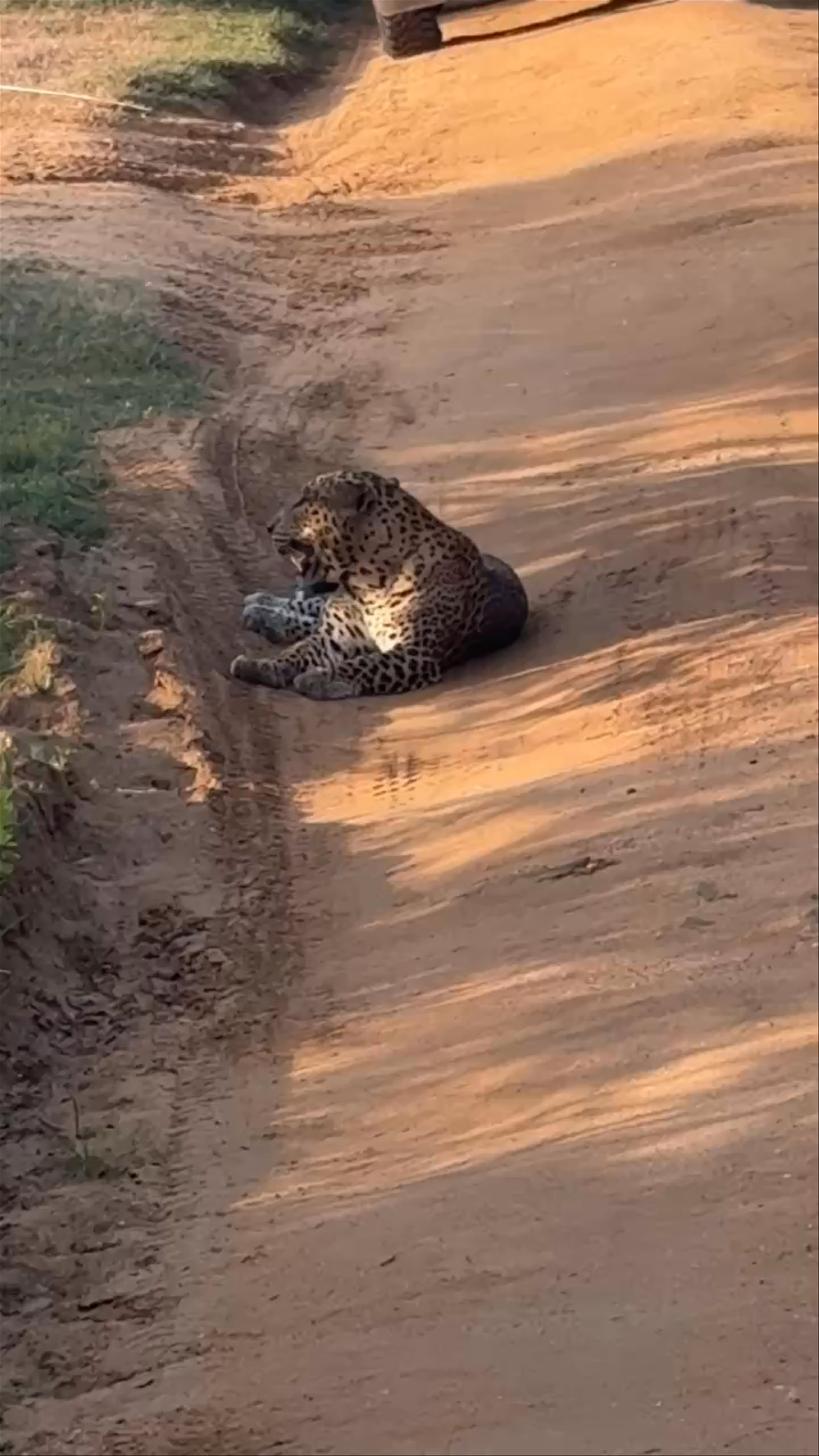Yala National Park Sri Lanka