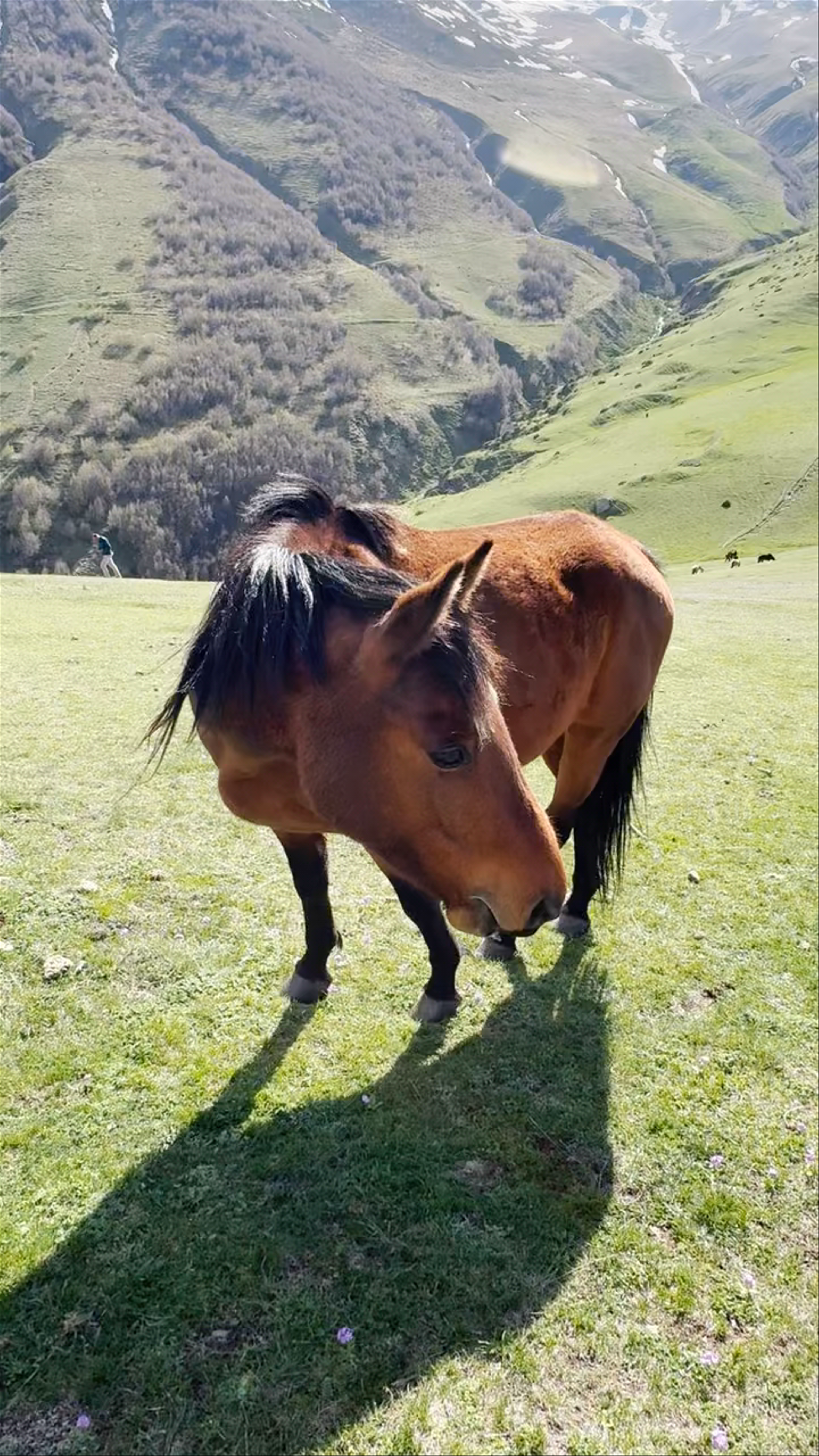 Observation deck top