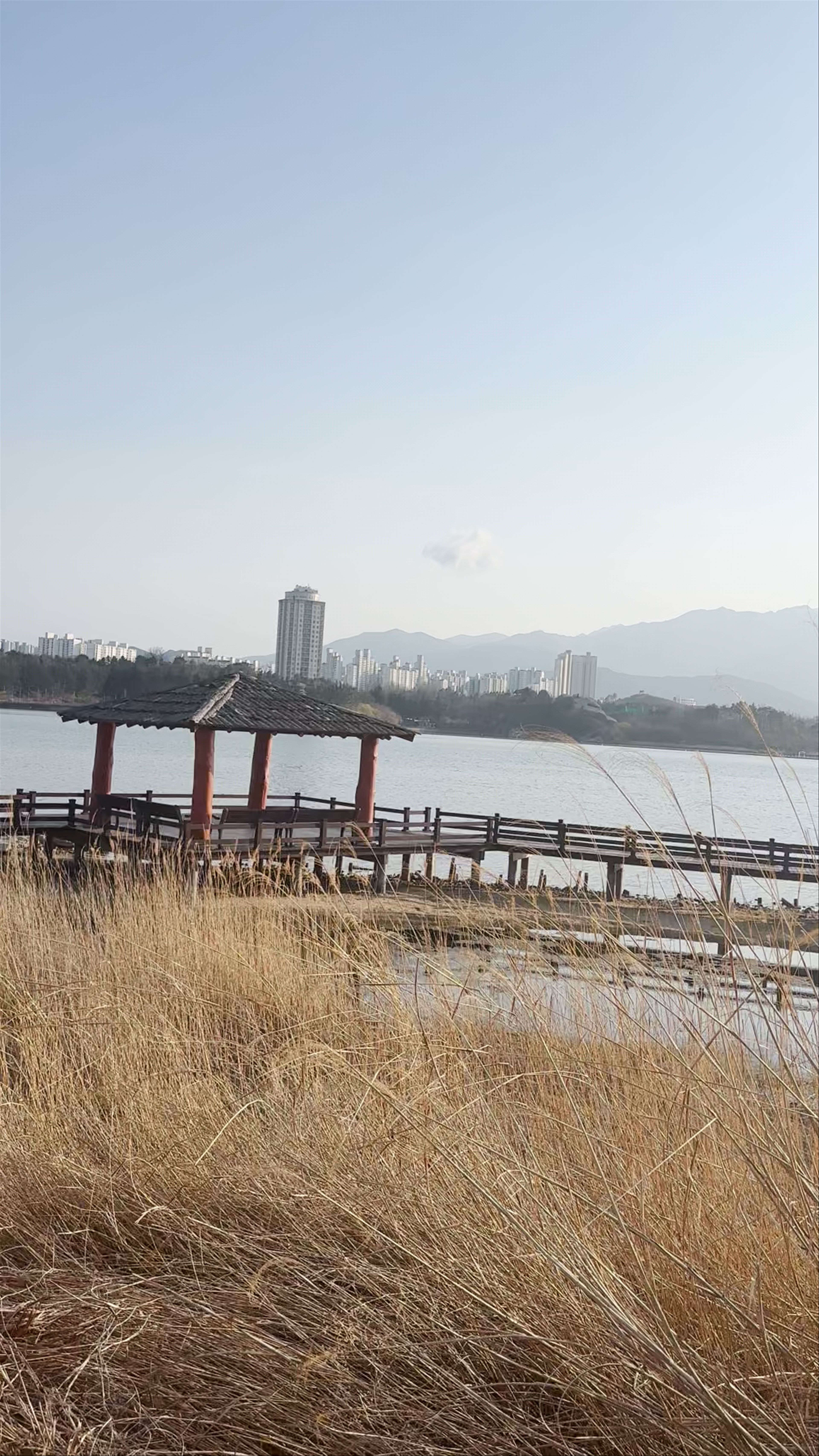 Serene Moments at Sokcho Beach Waterfront
