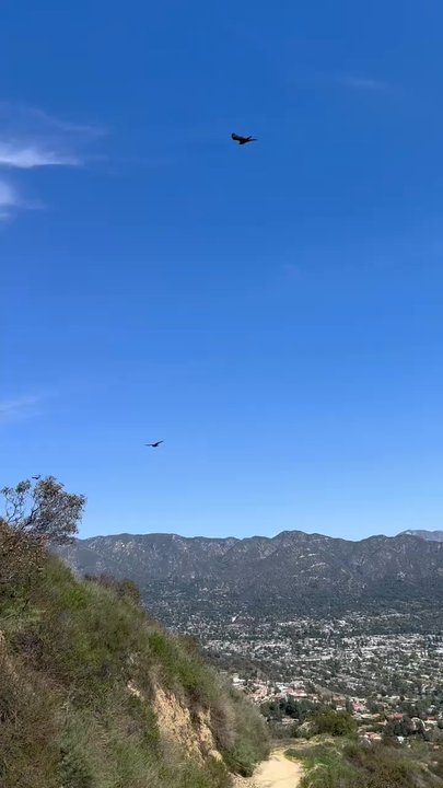Beaudry Loop Hike - Hiking Near Me - Glendale, California