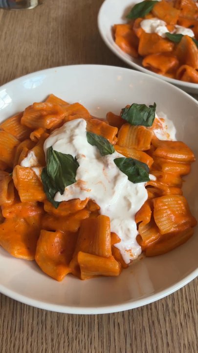 La Pecora Bianca - Vodka pasta and bolognese. - Italian Near Me - New York, New York