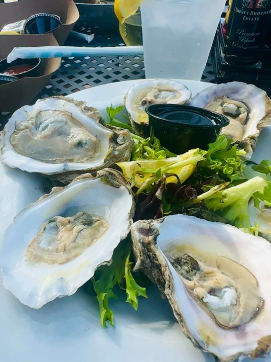 The Boathouse - The service price , food, and atmosphere is top notch one of my favorites - Seafood Near Me - St Augustine, Florida