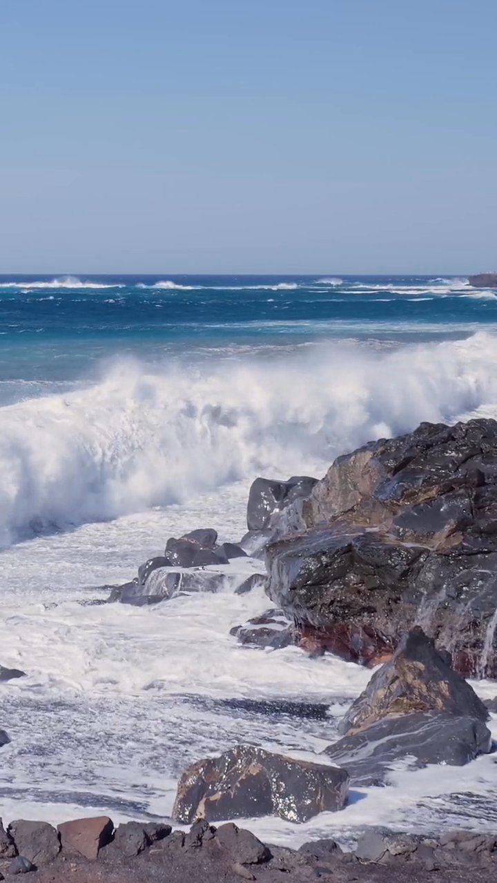 book the flight
📍 Maui Hawaii
🎥 Matthias Groeneveld · Pexels
#travel #beach #island #paradise #wanderlust