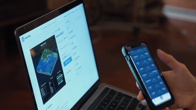 A girl searches for NFT data using her laptop and a smartphone app