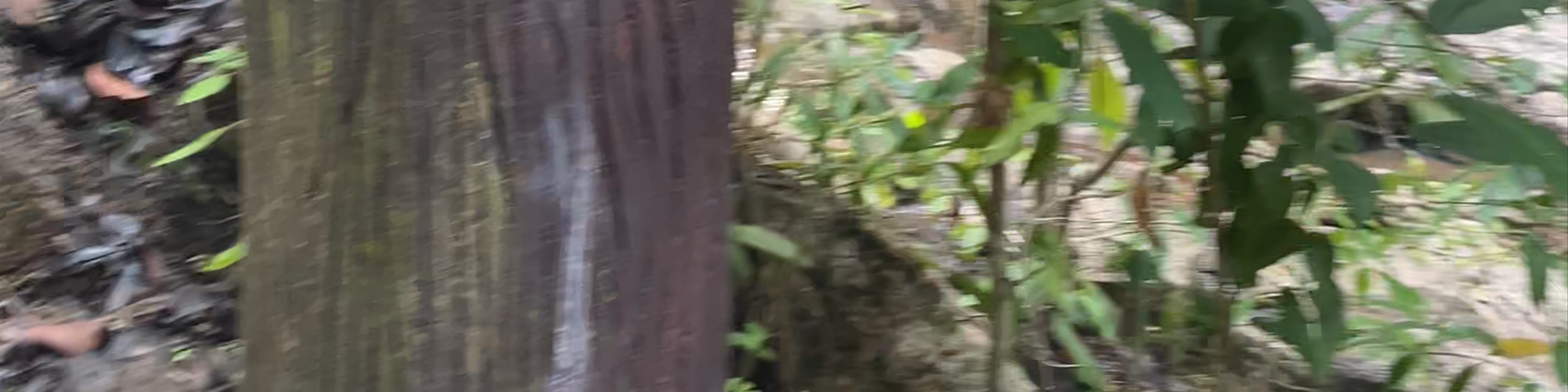 Ko Pha Ngan