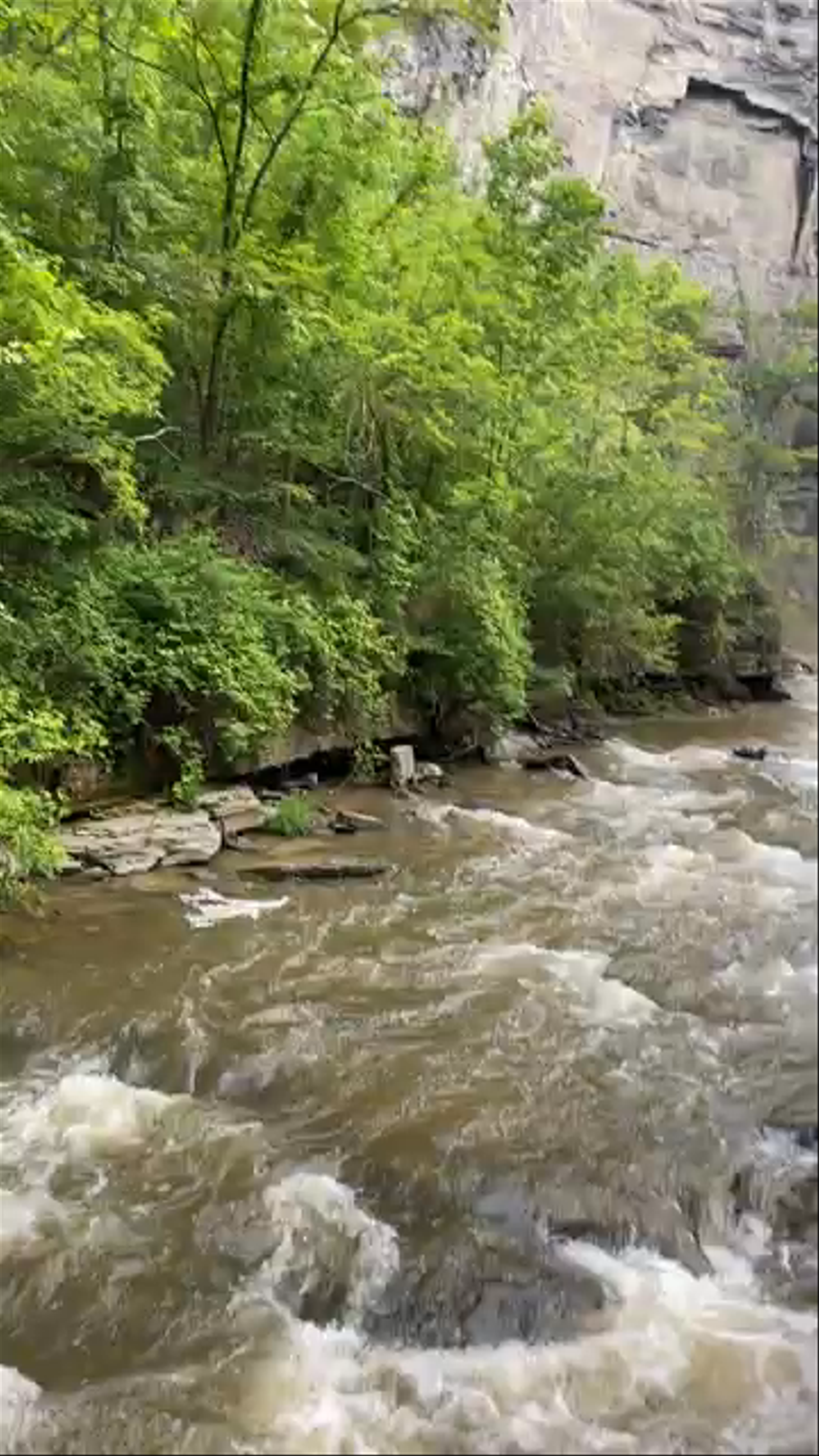 Taughannock Falls: Majestic Waterfall in New York's Finger Lakes