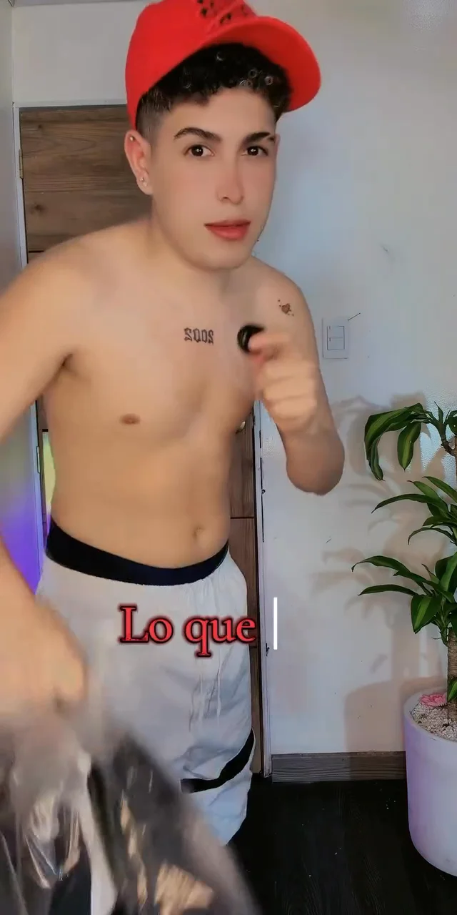 Contenido del creador