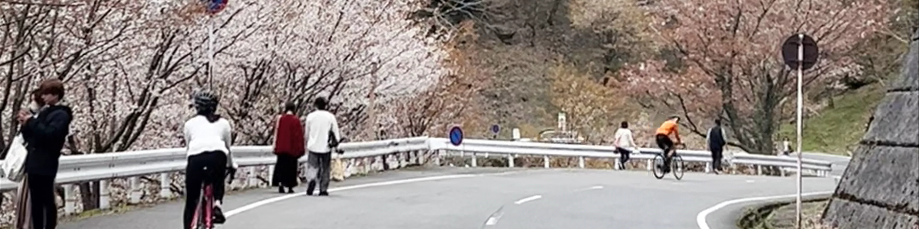 Mount Yoshino