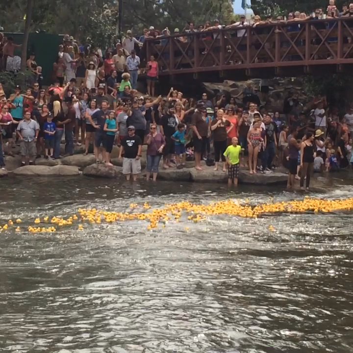 Video thumbnail 2 more videos