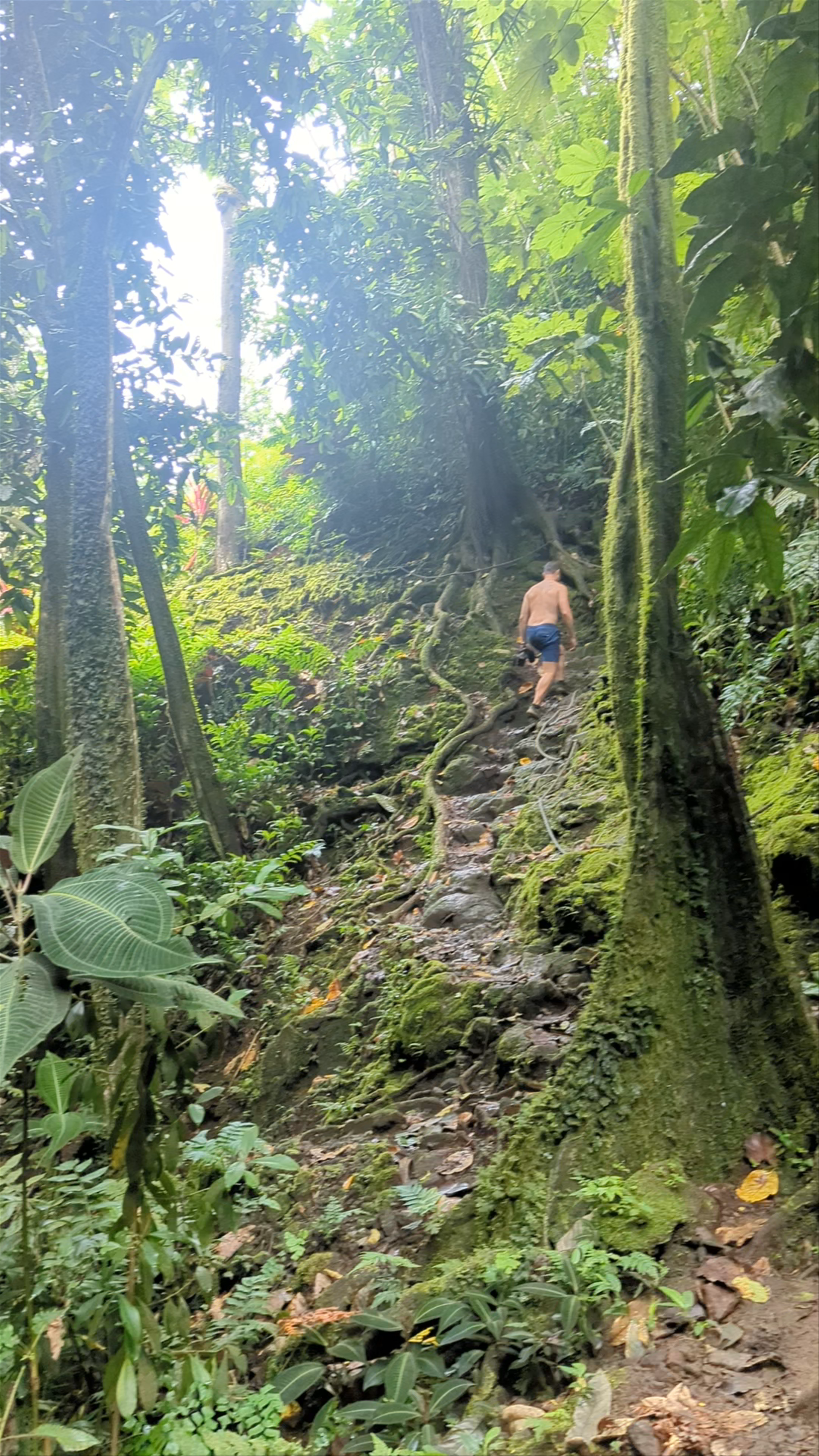 Water Gardens Vaipahi