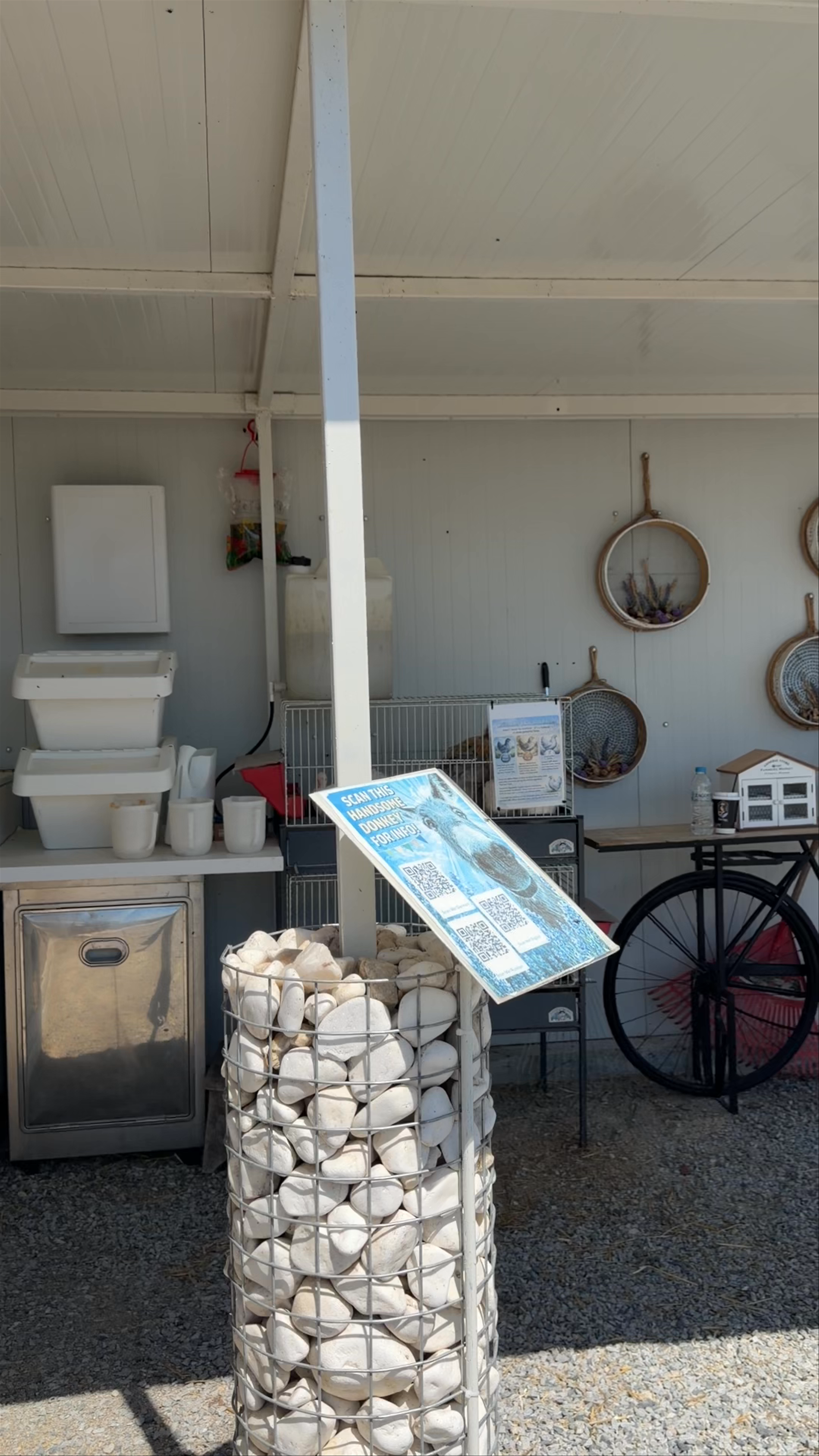 Alpha Lavender – Multifunctional Farm & Experiences (Φάρμα Λεβάντας)