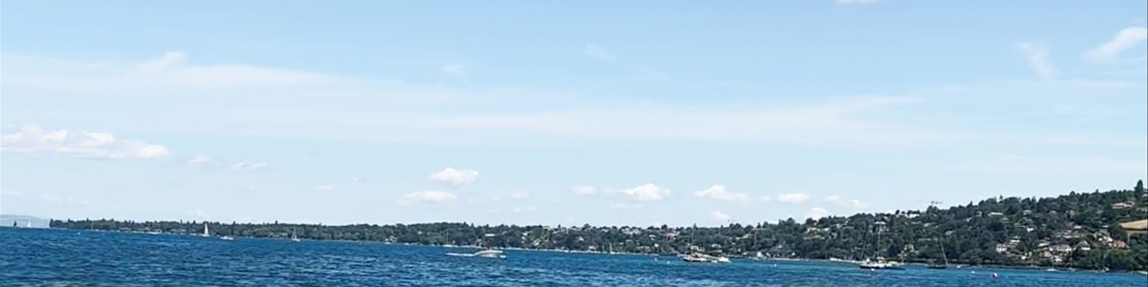 Bains des Pâquis