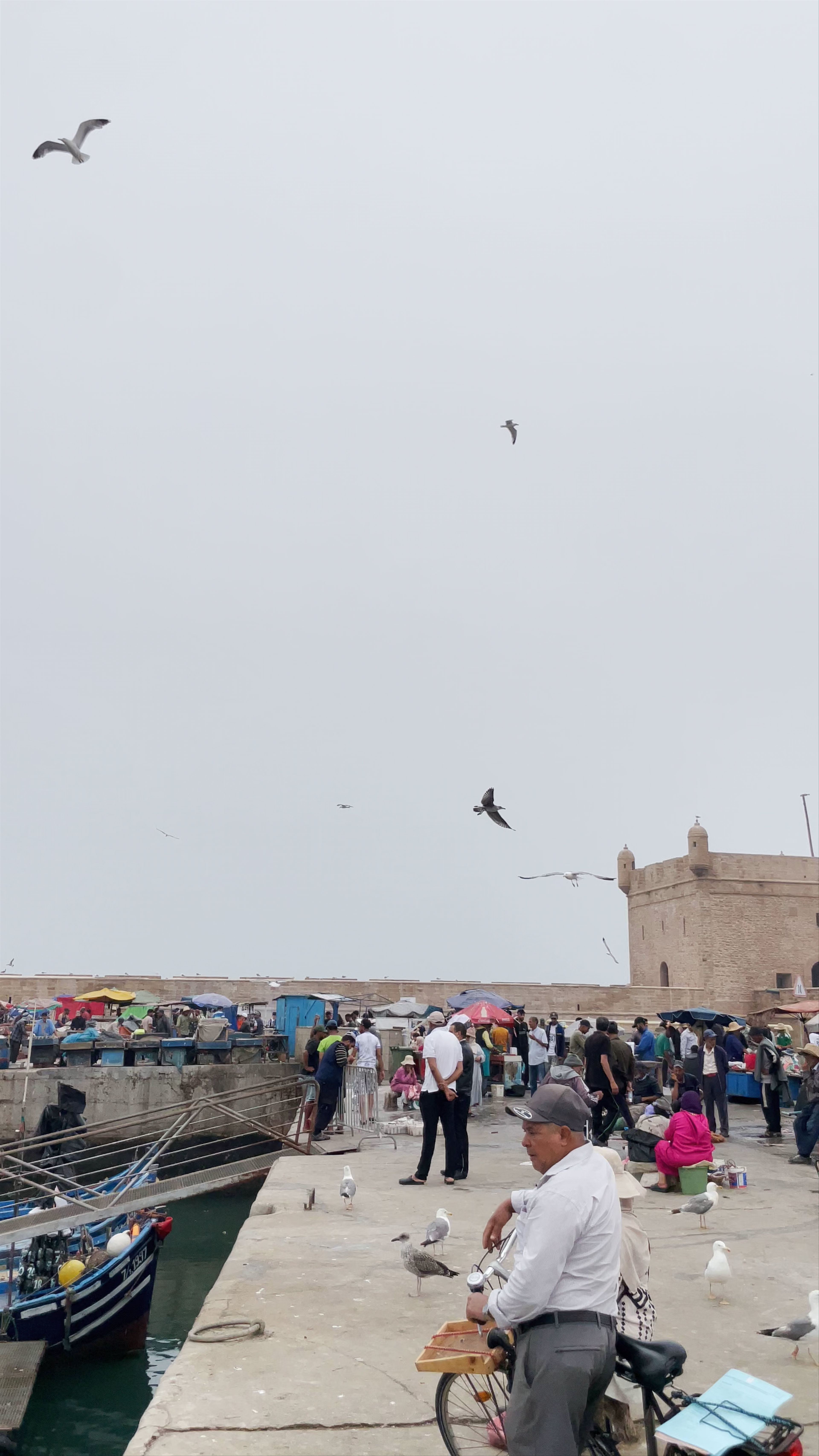 Essaouira fisherman boats