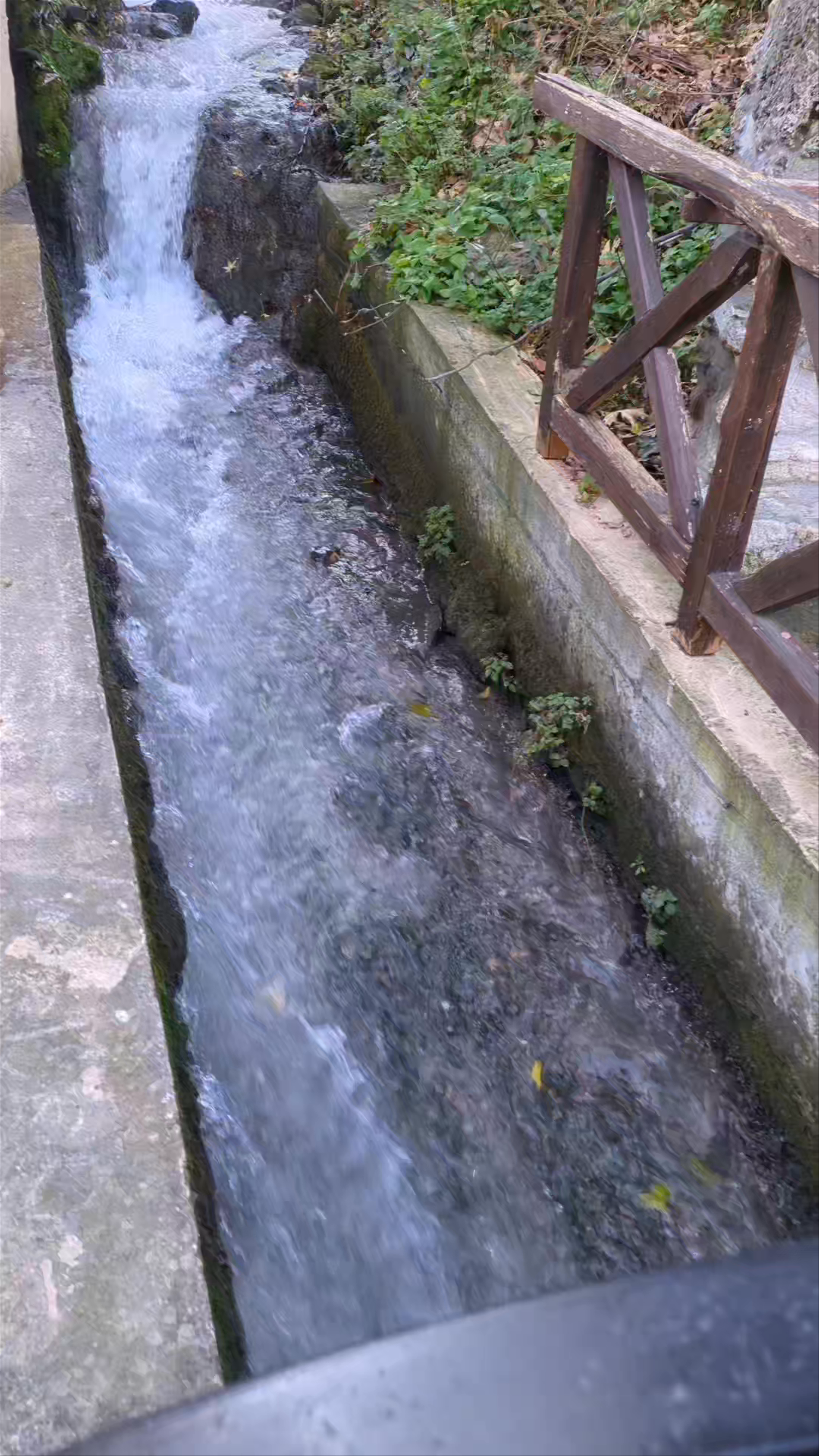 Αλευρόμυλος Σαλαμπάση