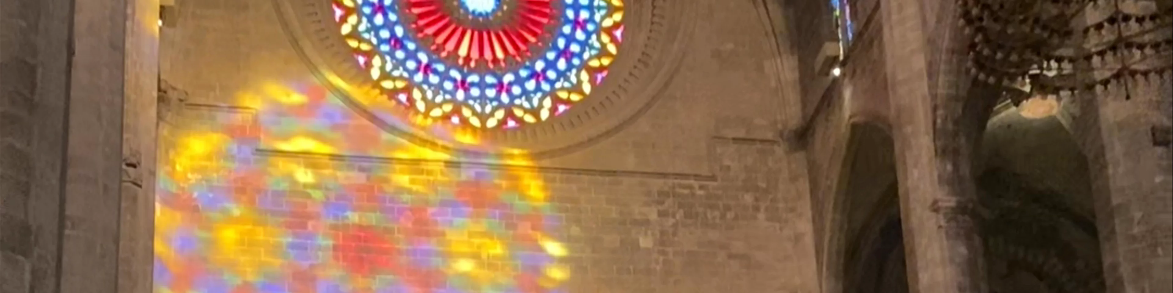 Catedral-Basílica de Santa María de Mallorca