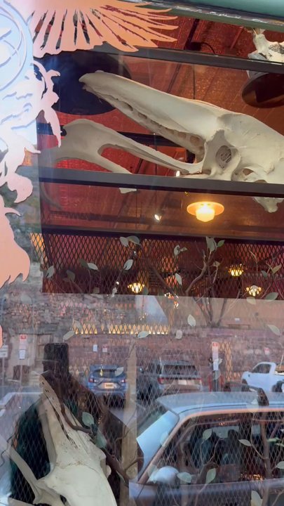Caduceus Cellars - The front window filled with oddities and bones - Wineries Near Me - Jerome, Arizona