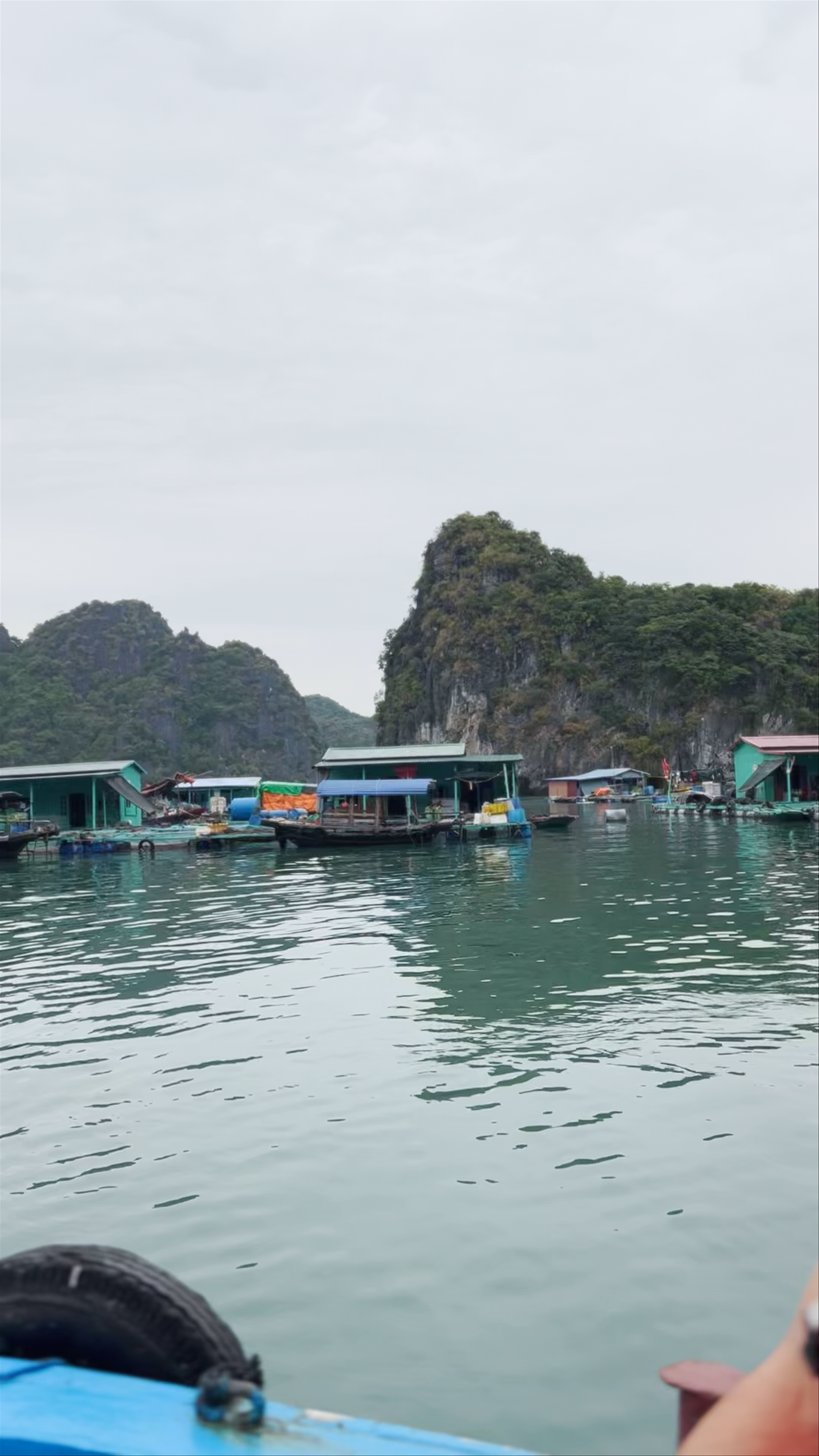 Cai Beo Floating Village: Tranquil Life Among Limestone Karsts