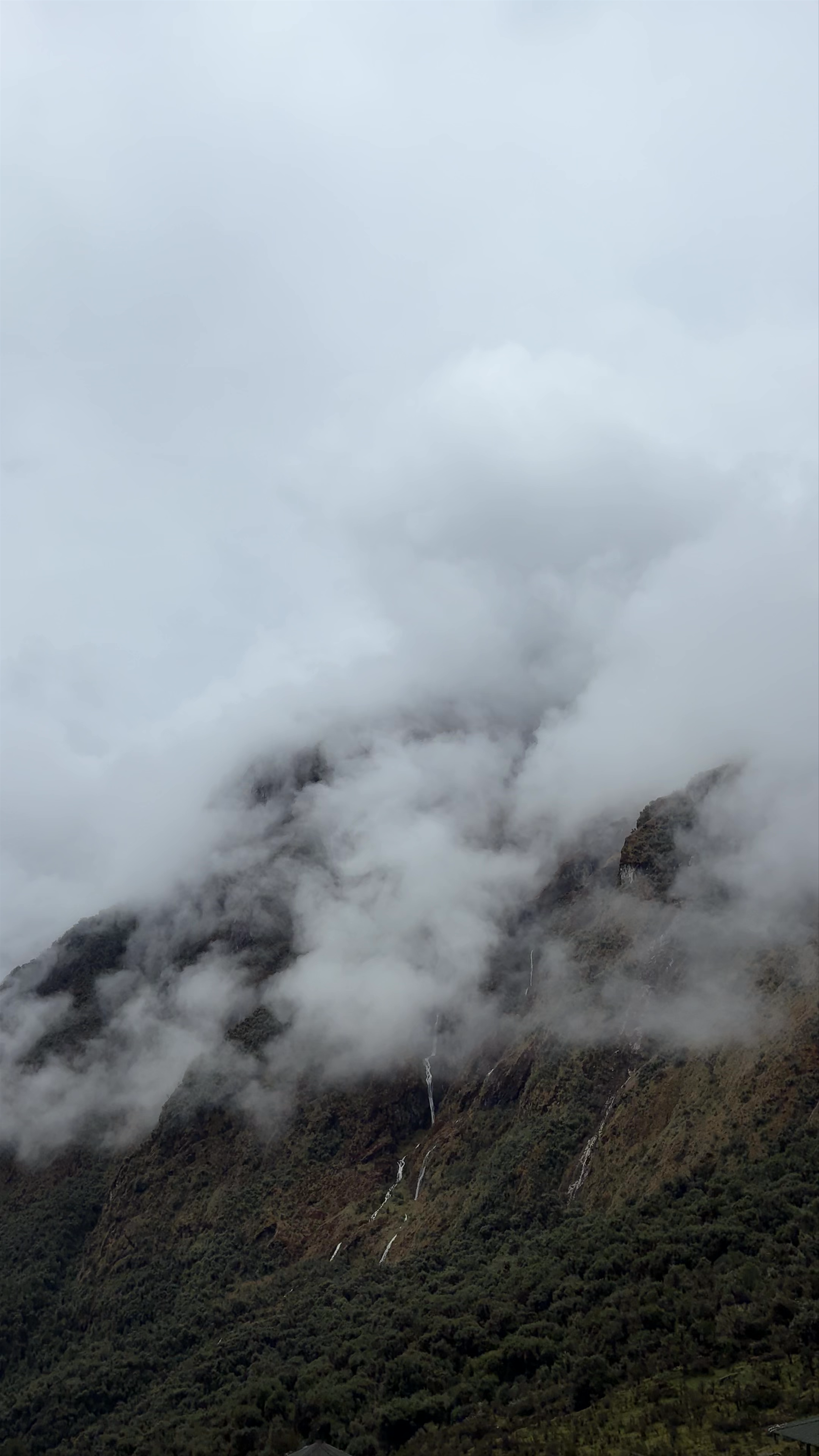 Misty Mountain Cascades at Campin Inca Tequila, Santa Teresa, Peru