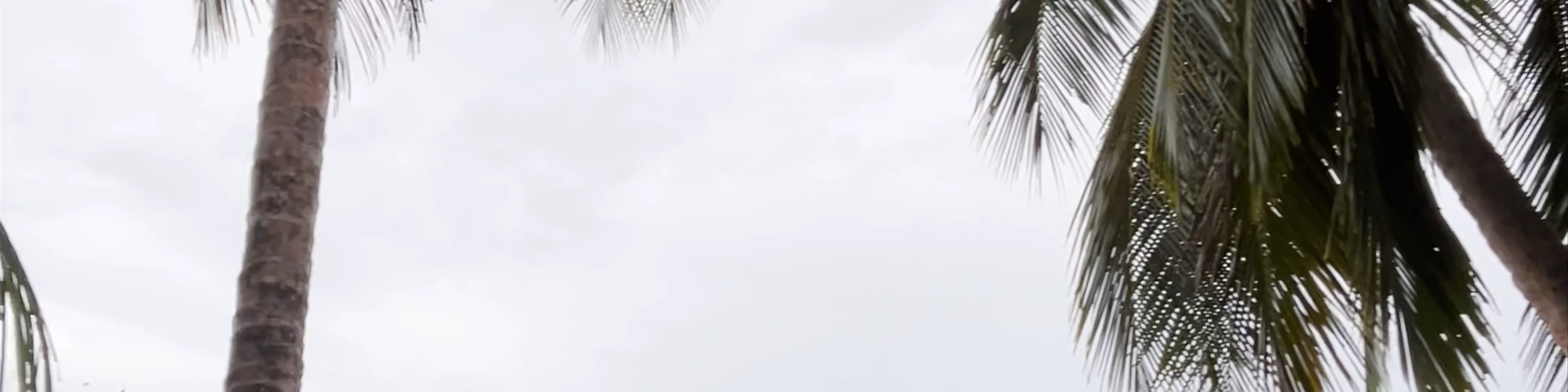 Parque Nacional Cahuita