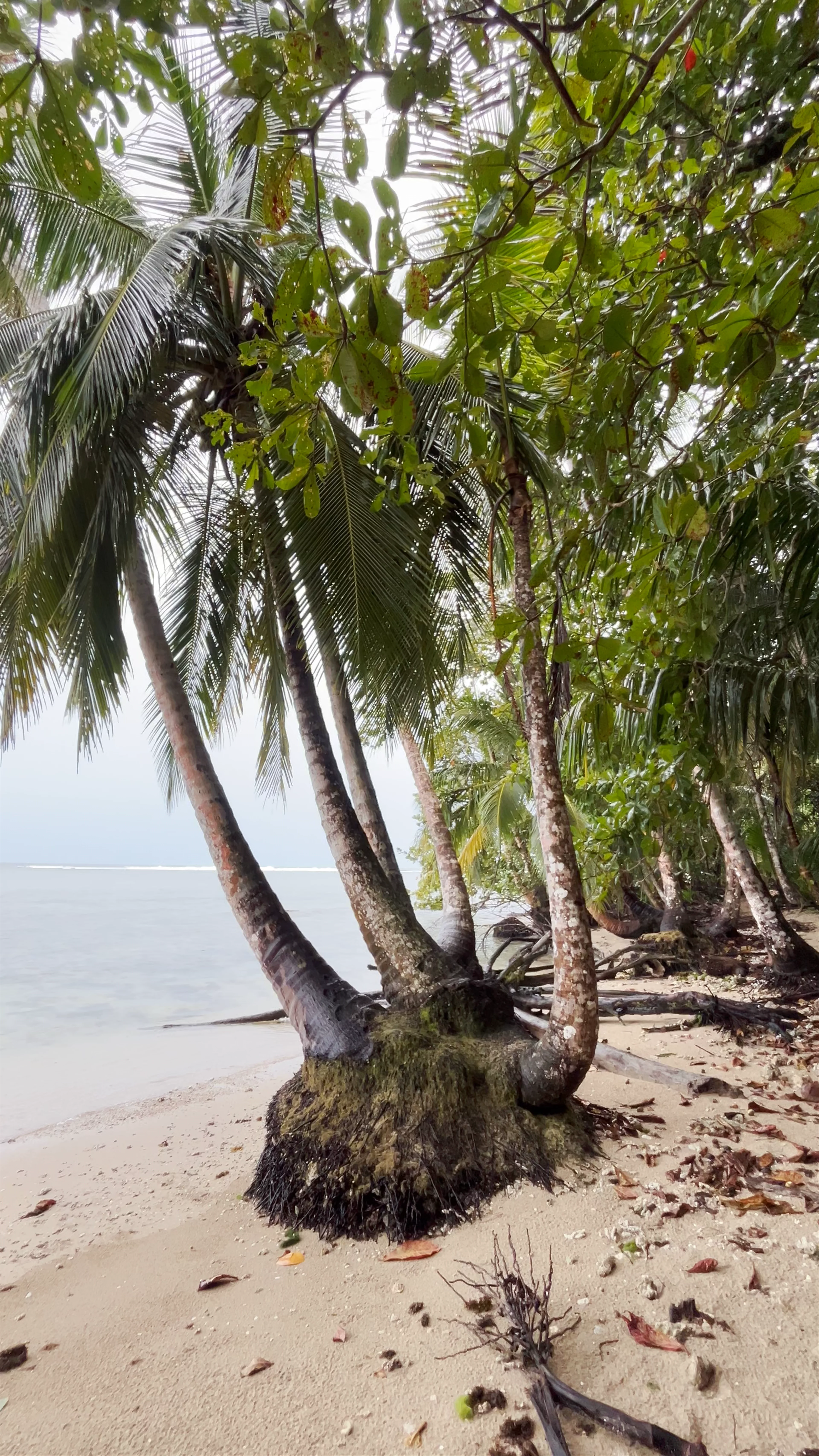 Cahuita National Park
