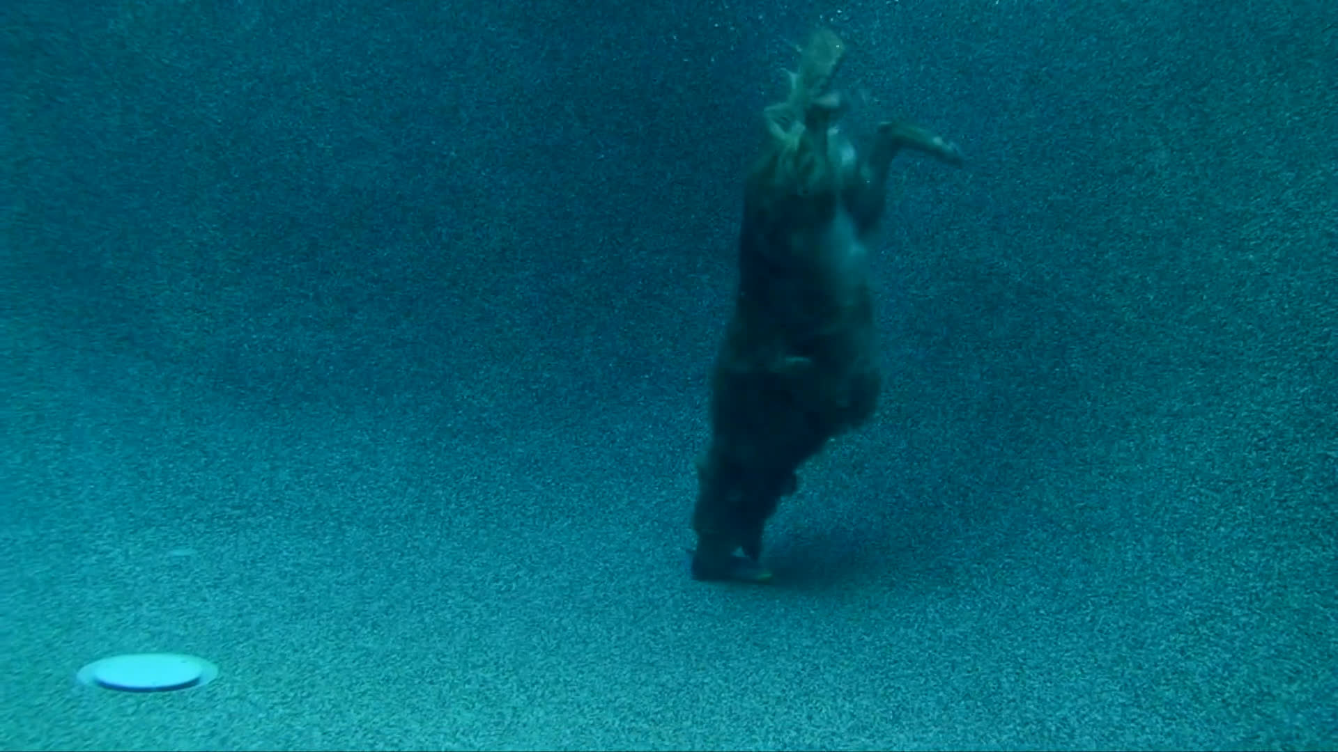 A golden retriever dives underwater in a residential swimming pool to retrieve a floating toy. After resurfacing, the dog relaxes with its owner indoors.