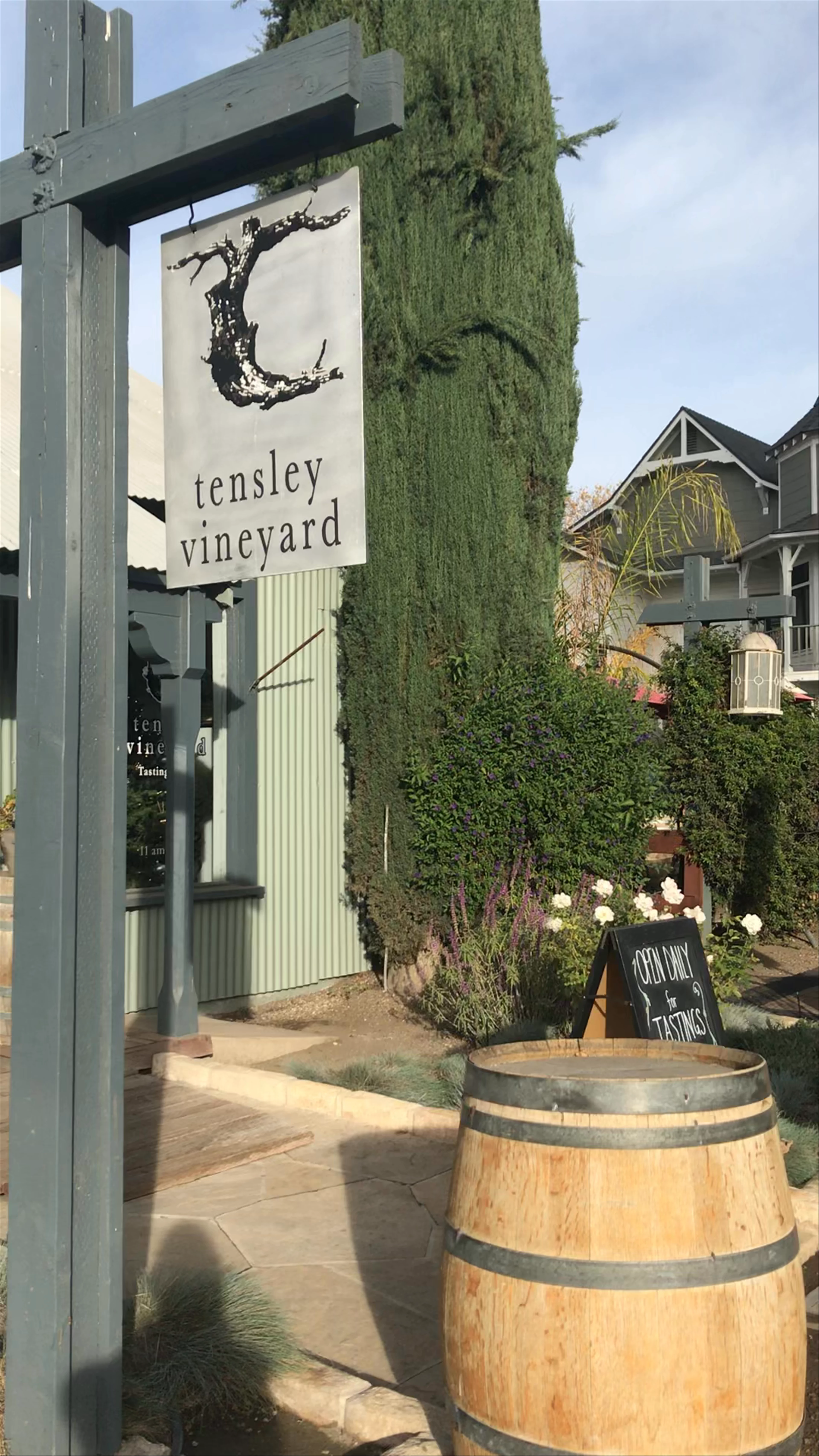 Tensley Vineyard