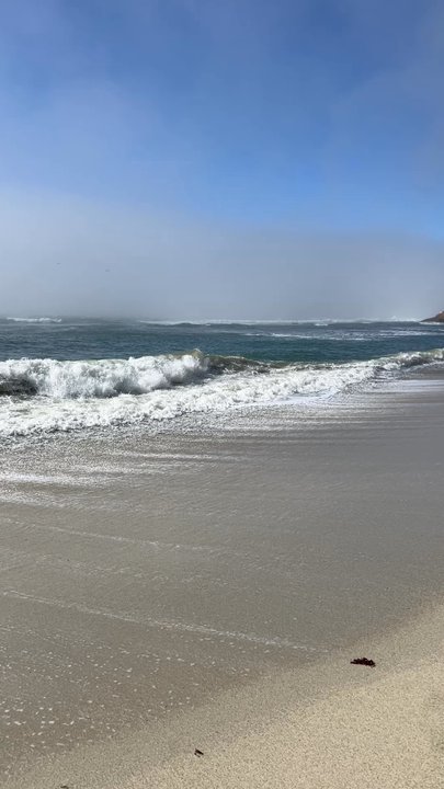 Seal Cove Beach - Beaches Near Me - Moss Beach, California