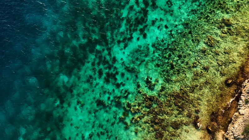 Caribbean - Bonaire poster