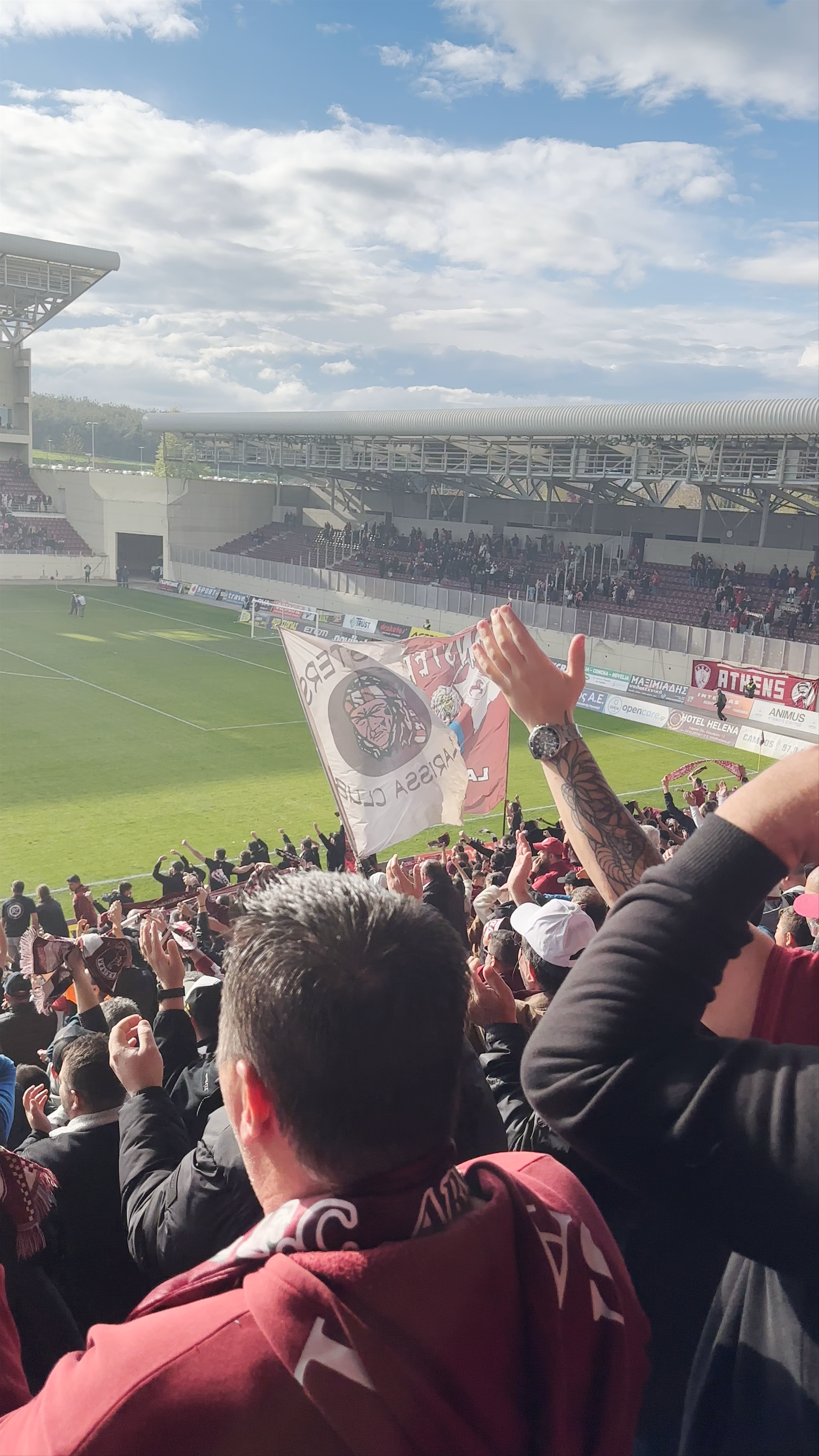 AEL F.C. Arena