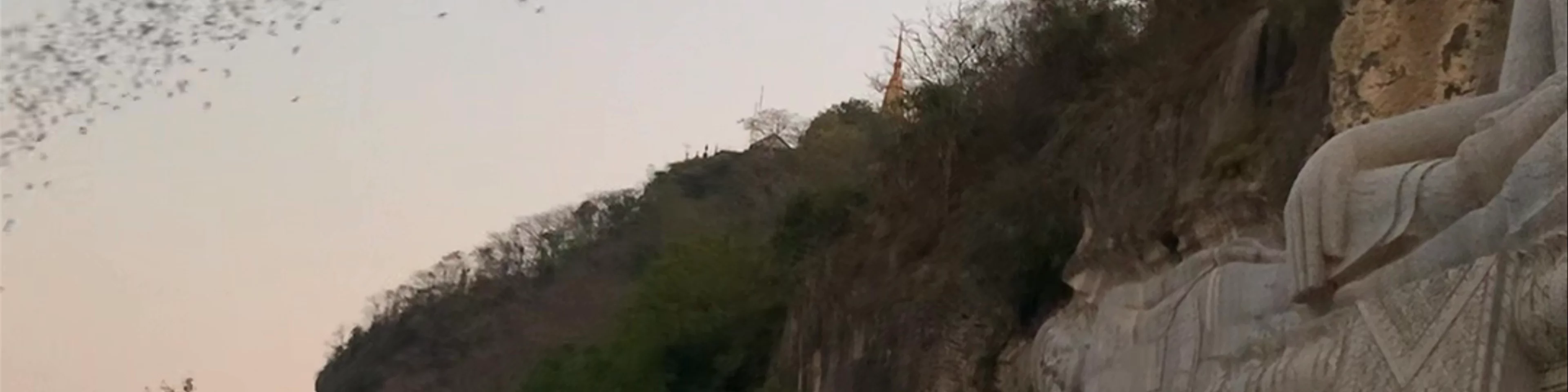 Bat cave of Phnom Sampov