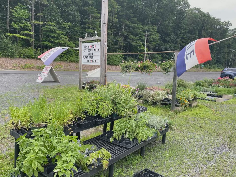 Pickin' Patch - Farmers Market Near Me - Avon, Connecticut