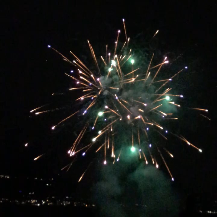 Don Morse Memorial Park - My family had a fun watching New Years Eve fireworks at the park. Beautiful place and clean. - Parks Near Me - Chelan, Washington