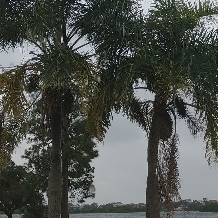 Anclote River Park - Parks Near Me - Holiday, Florida