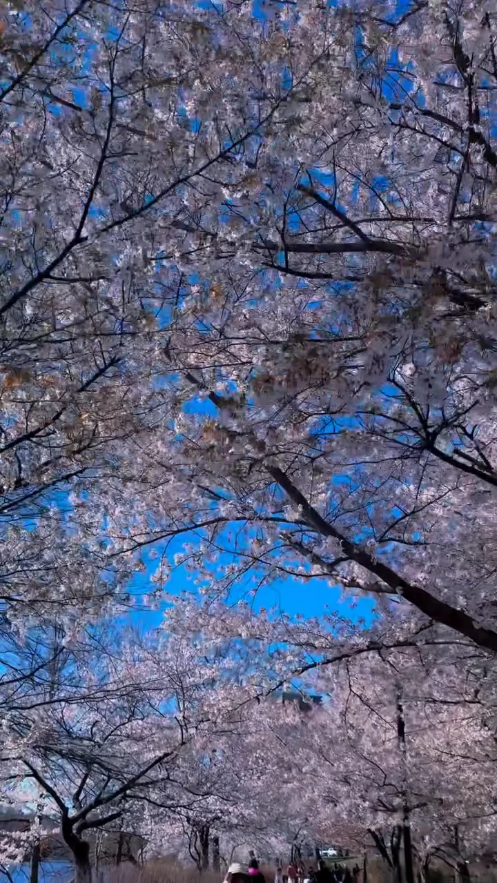 Newark, NJ