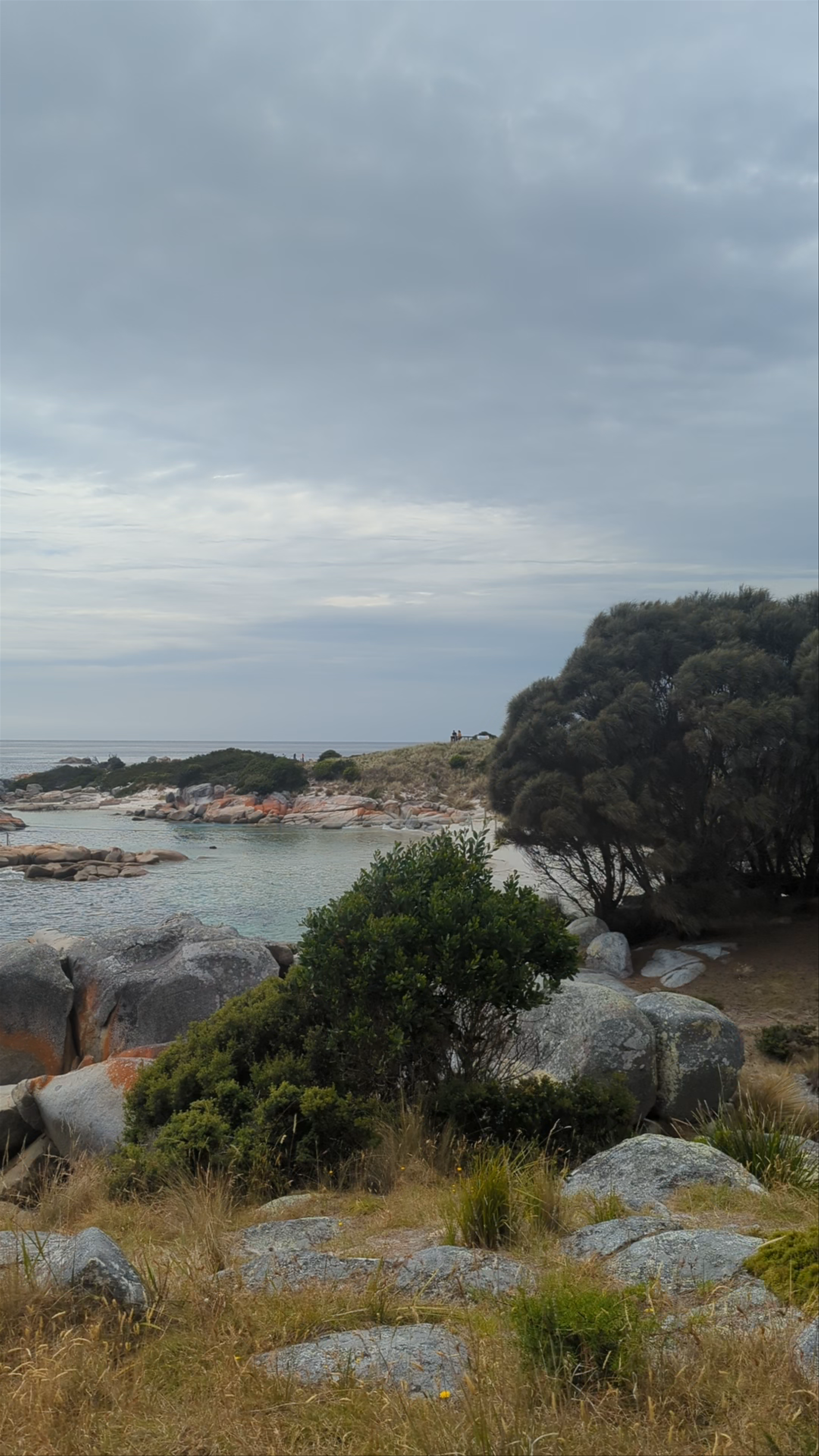 The Gardens - National Whale Trail