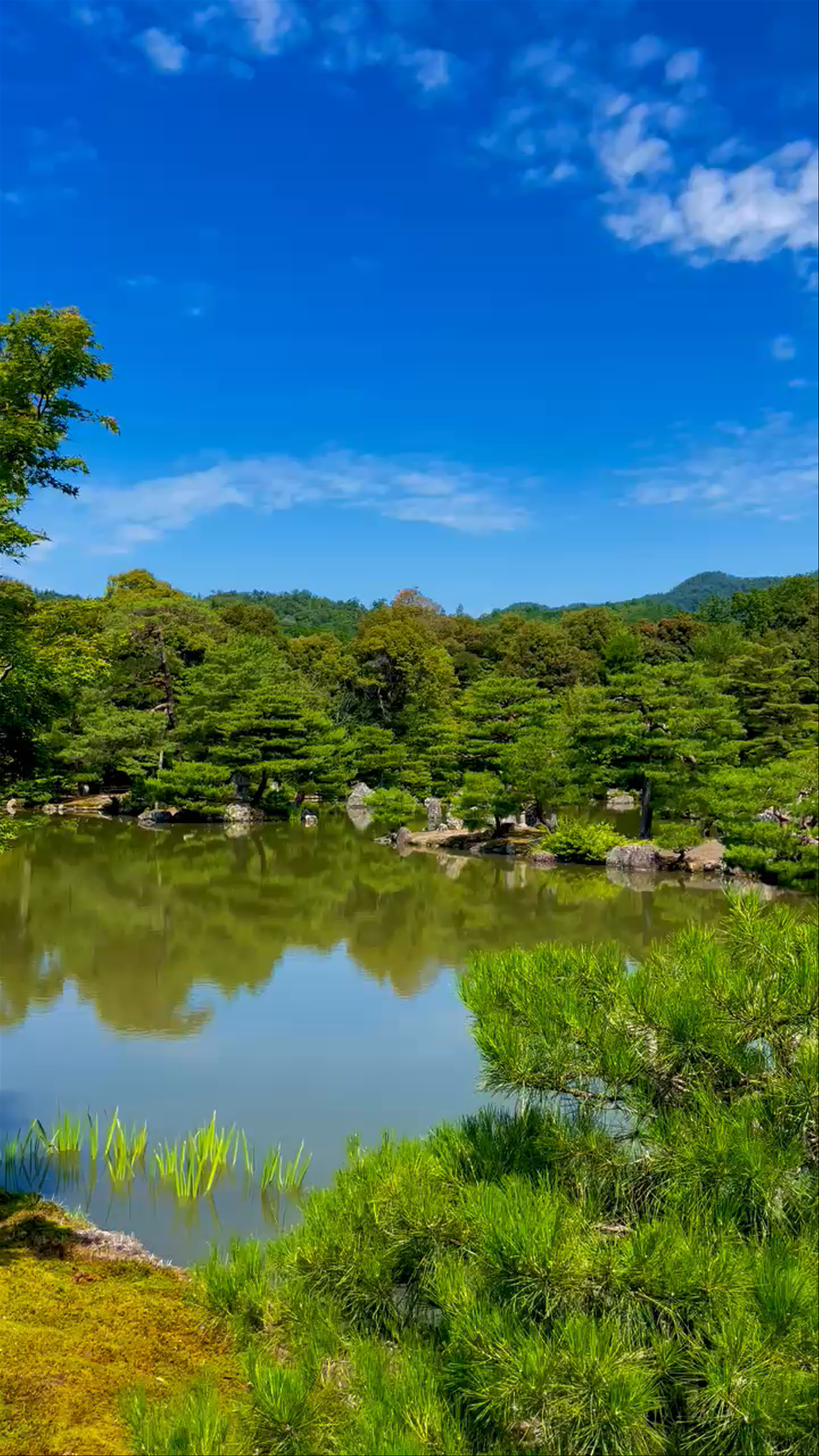 Kinkaku-ji