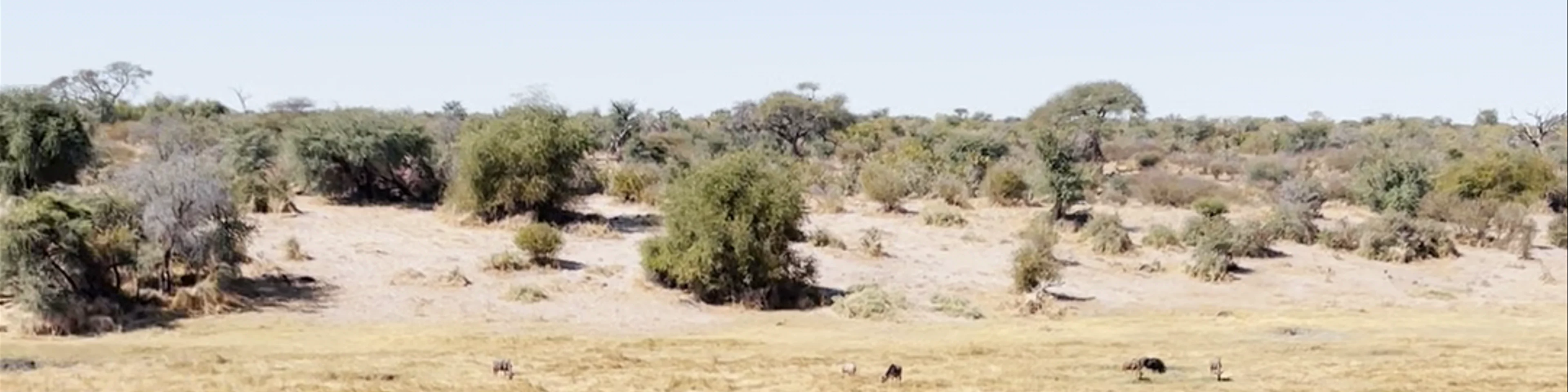 Makgadikgadi Pans National Park