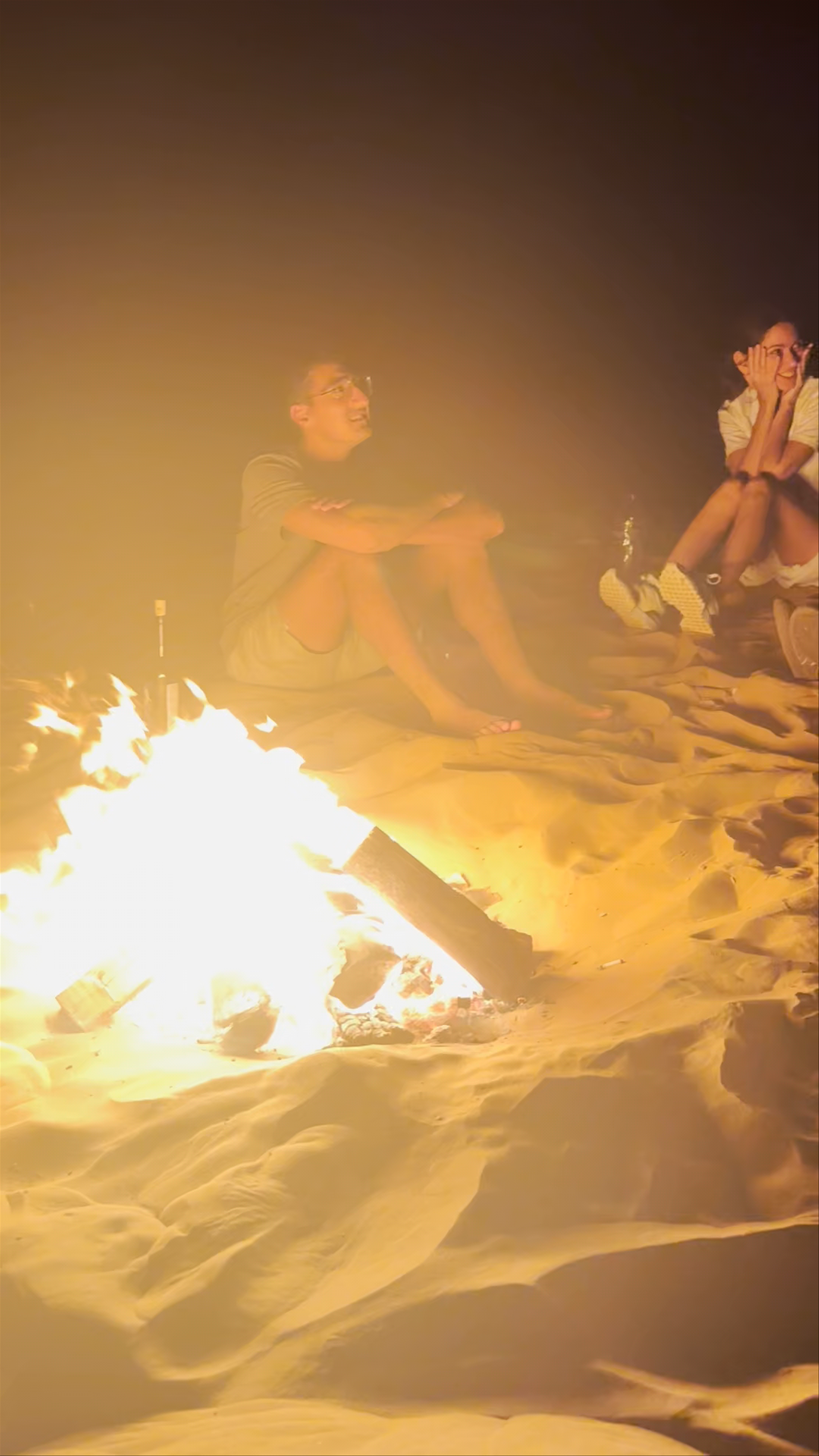 Dubai Desert Conservation Reserve - Sharjah - United Arab Emirates