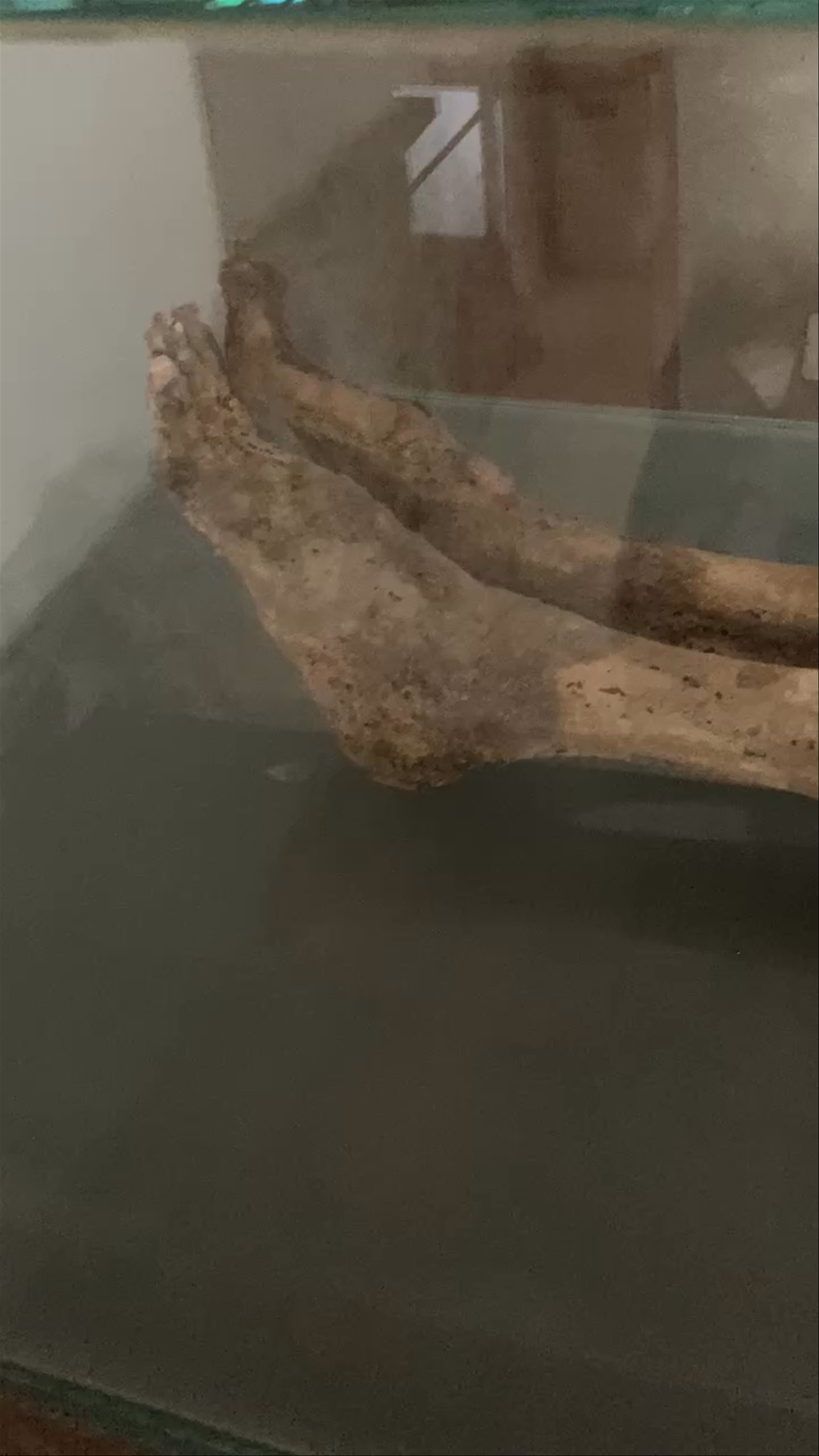 Our Lady of Qannoubine Monastery