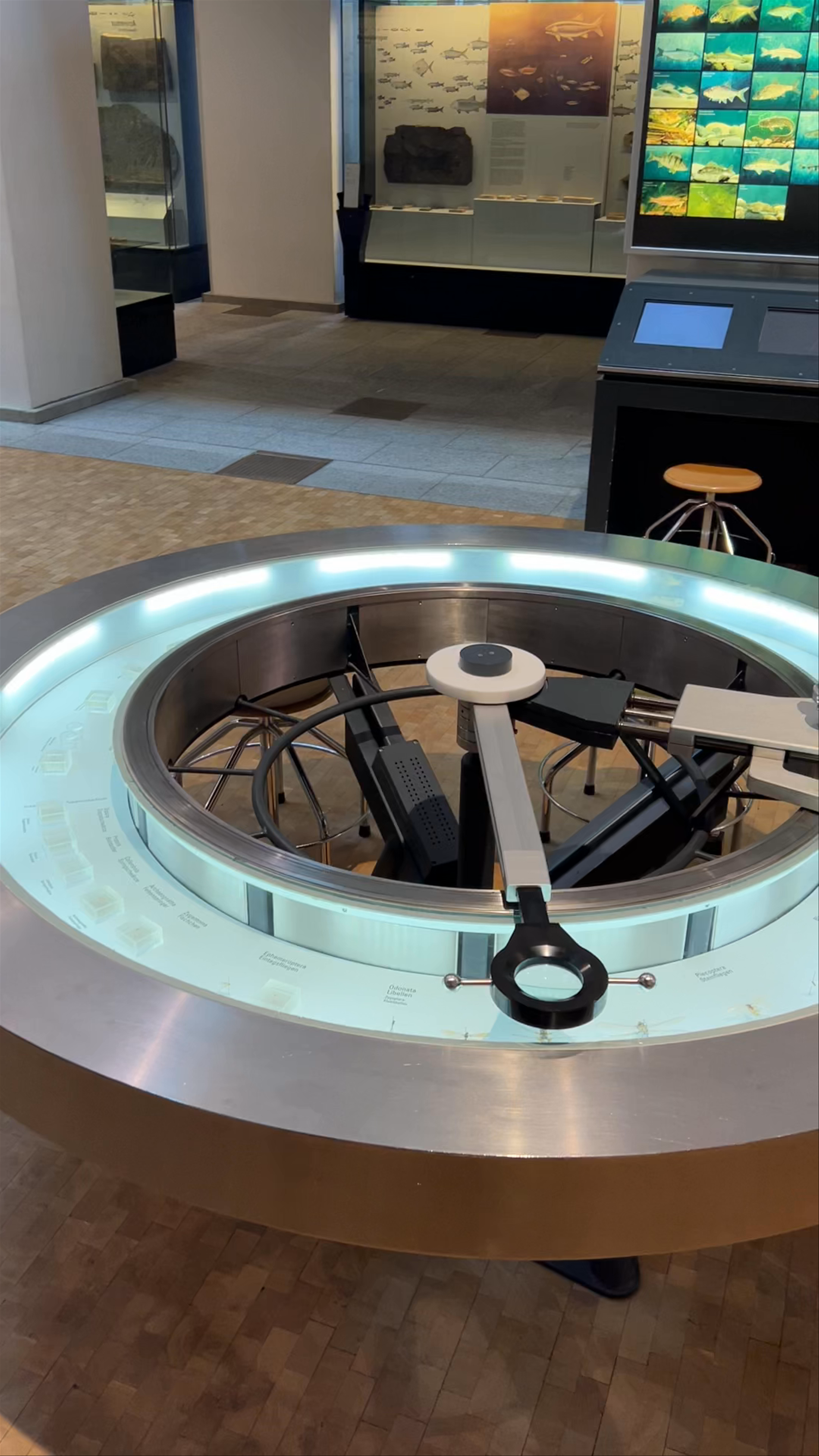 Zoological Museum of Zurich