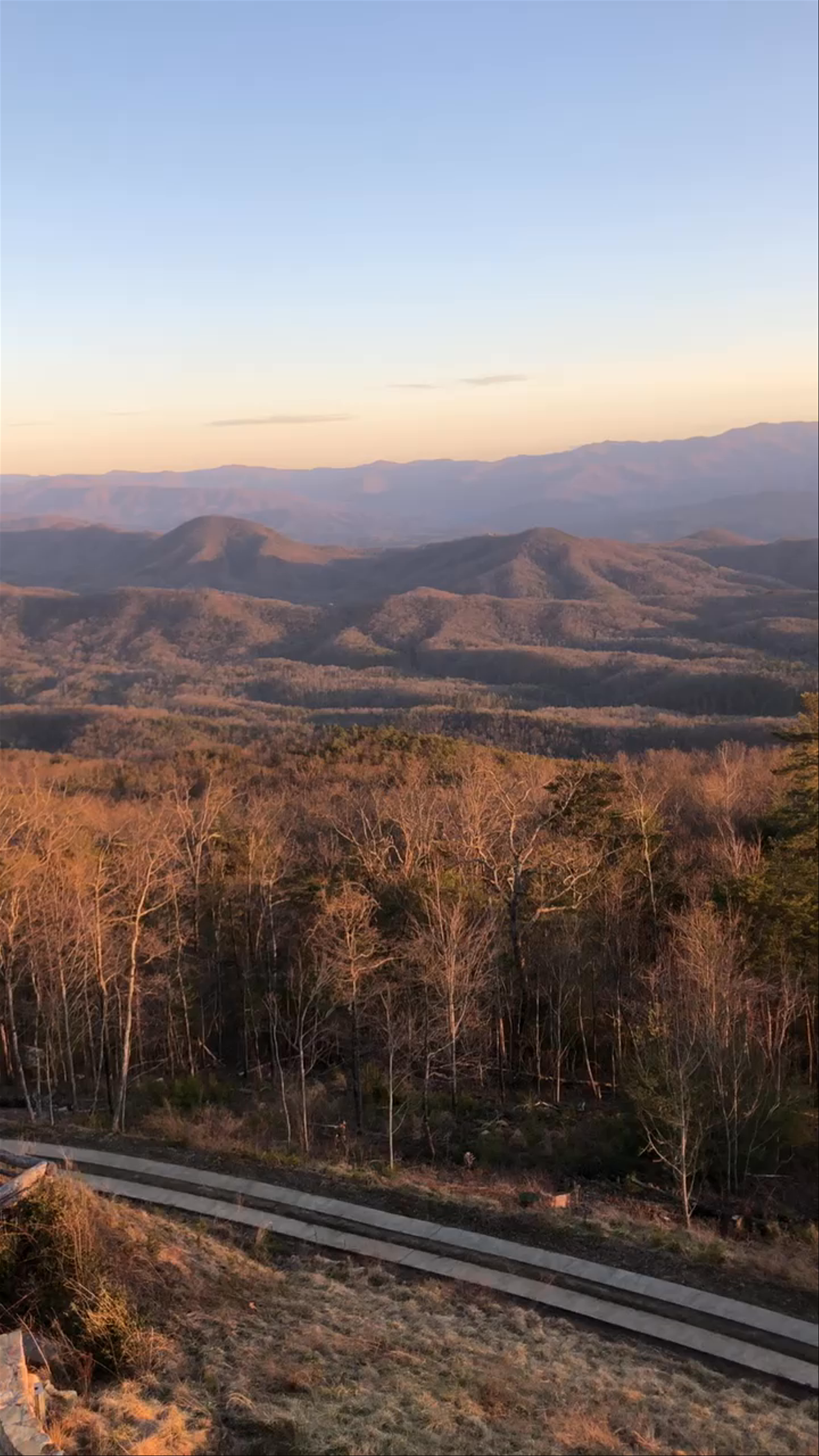 Black Berry Mountain - Chestnut Oak