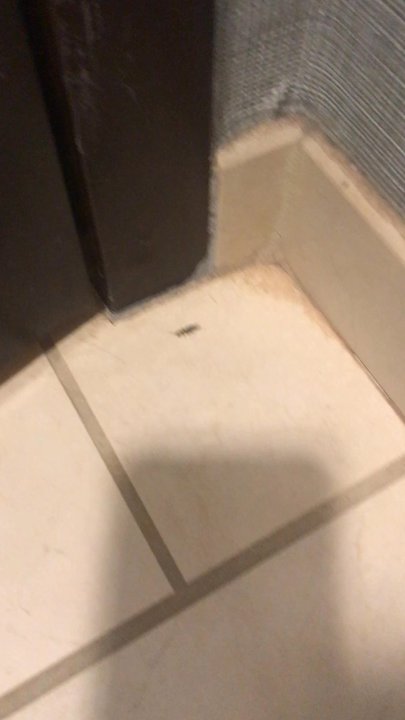 Hyatt Place Chesapeake/Greenbrier - Hyatt Chesapeake: bathroom has a lot of this - Hotels Near Me - Chesapeake, Virginia