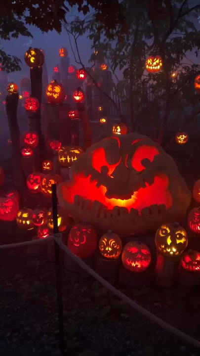 Jack-O-Lantern Spectacular - Festivals Near Me - Providence, Rhode Island